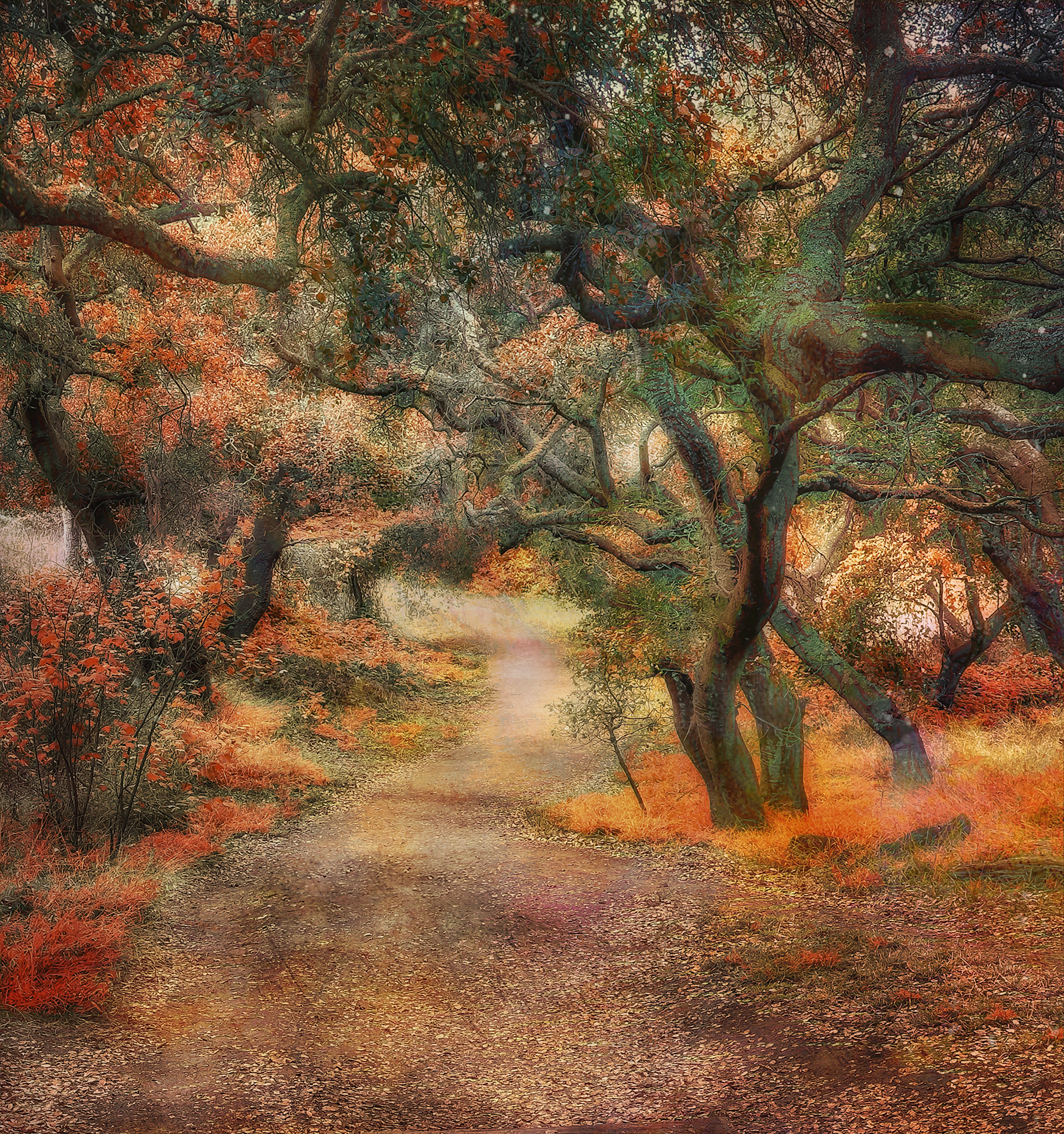 Strolling through the Surreal Woods