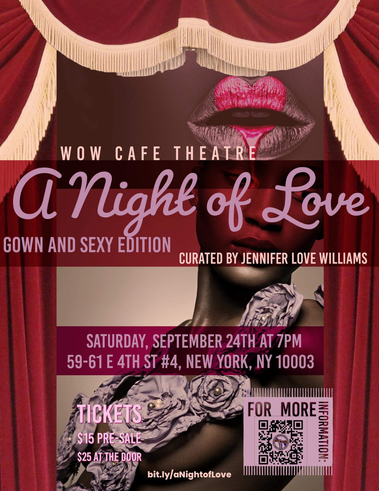Non Profit Fundraiser Promo