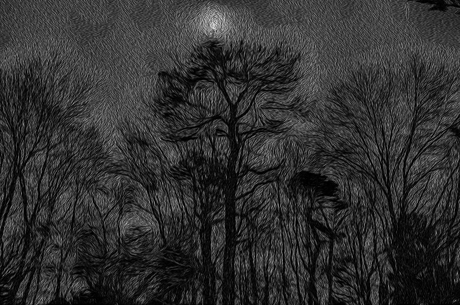 December Midnight Moon - 24x36 image on metal - Ready to hang - no Frame necessary - $3500