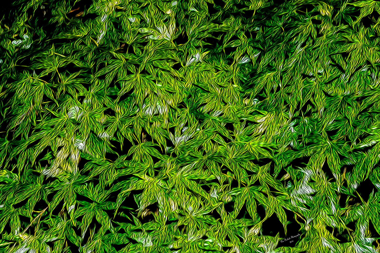 Spring Leaves - 24x36 image on metal - Ready to hang - no Frame necessary - $3500