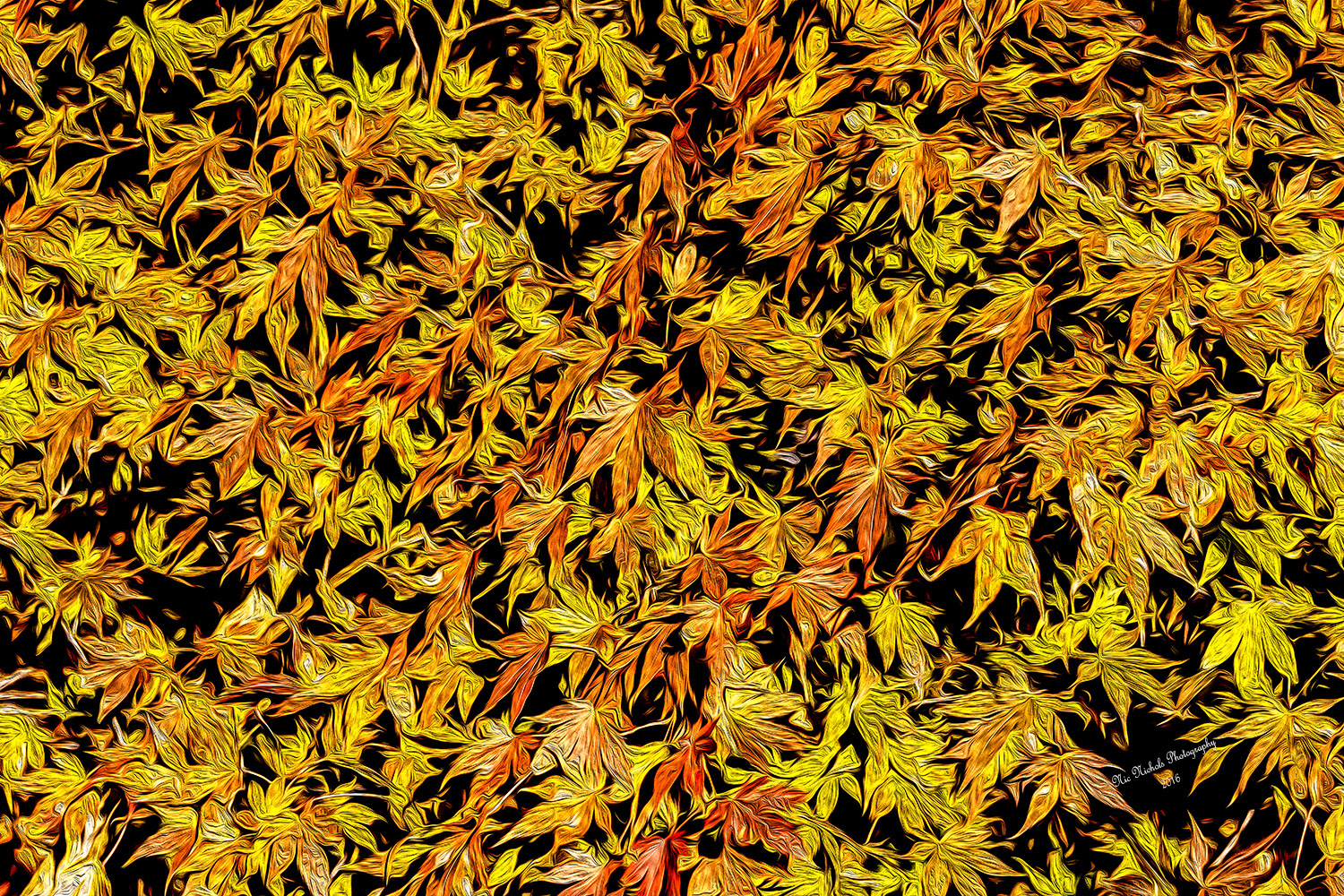 Fall Leaves - 24x36 image on metal - Ready to hang - no Frame necessary - $3500