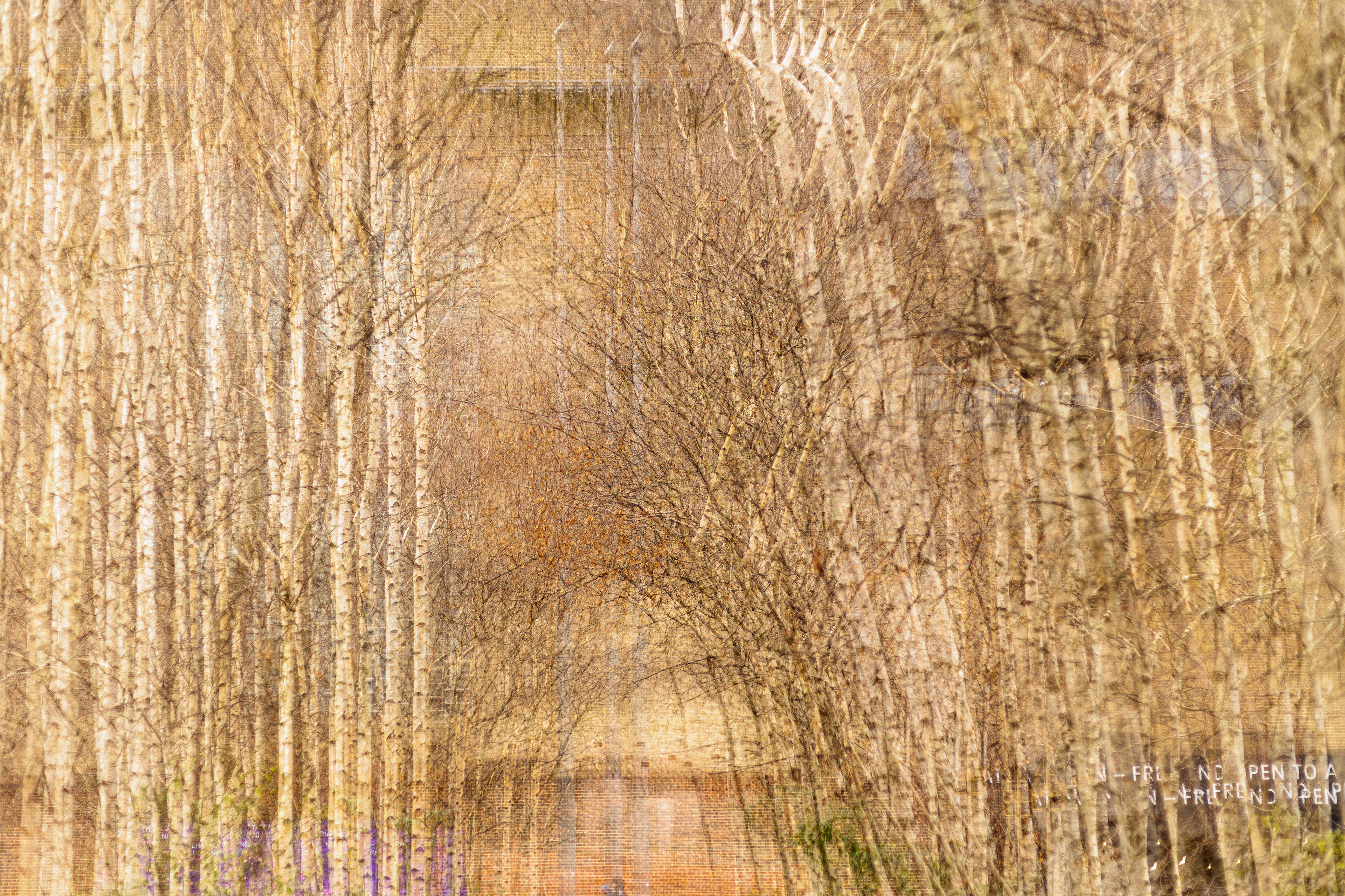 Trees at Tate