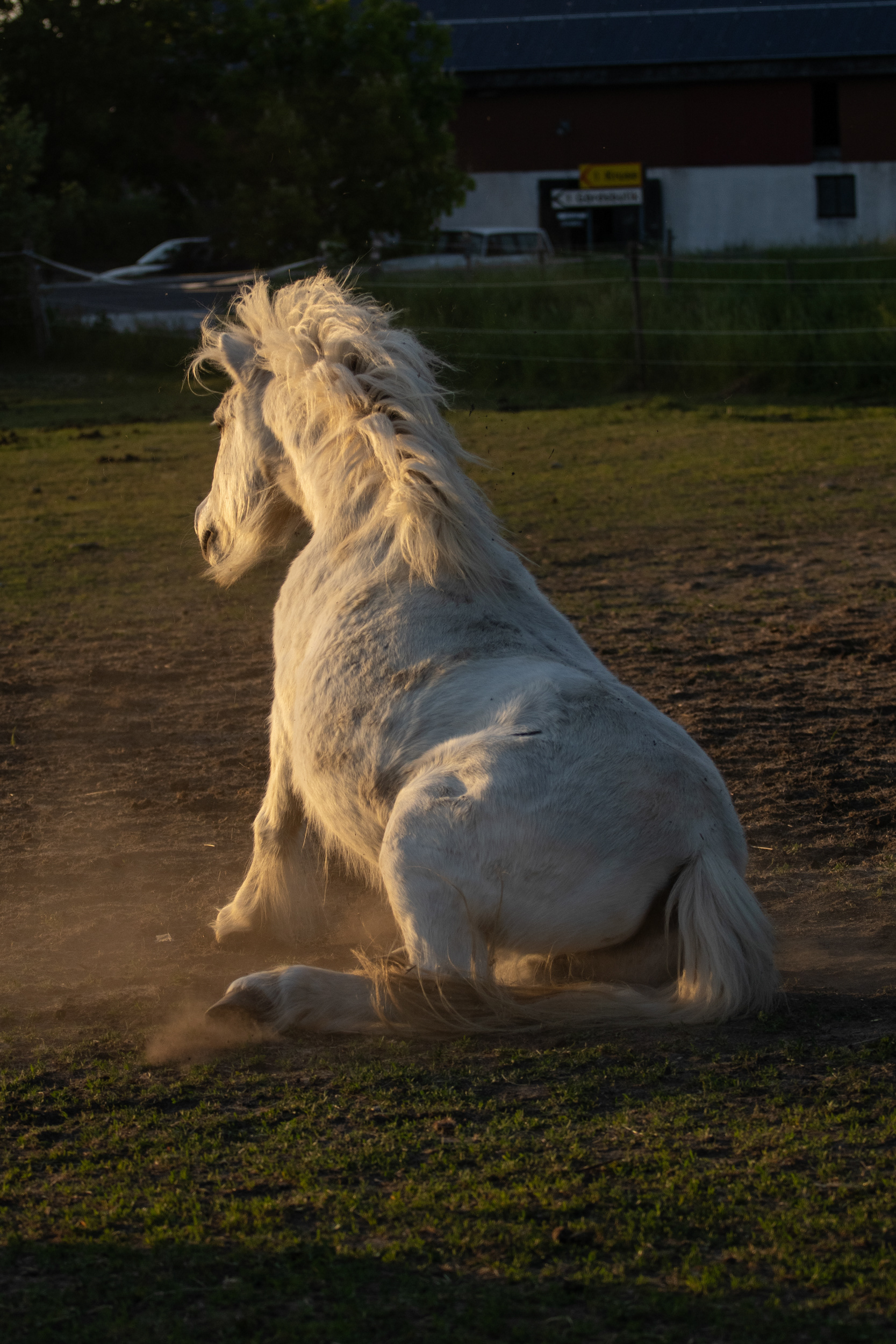 Casper, 240525