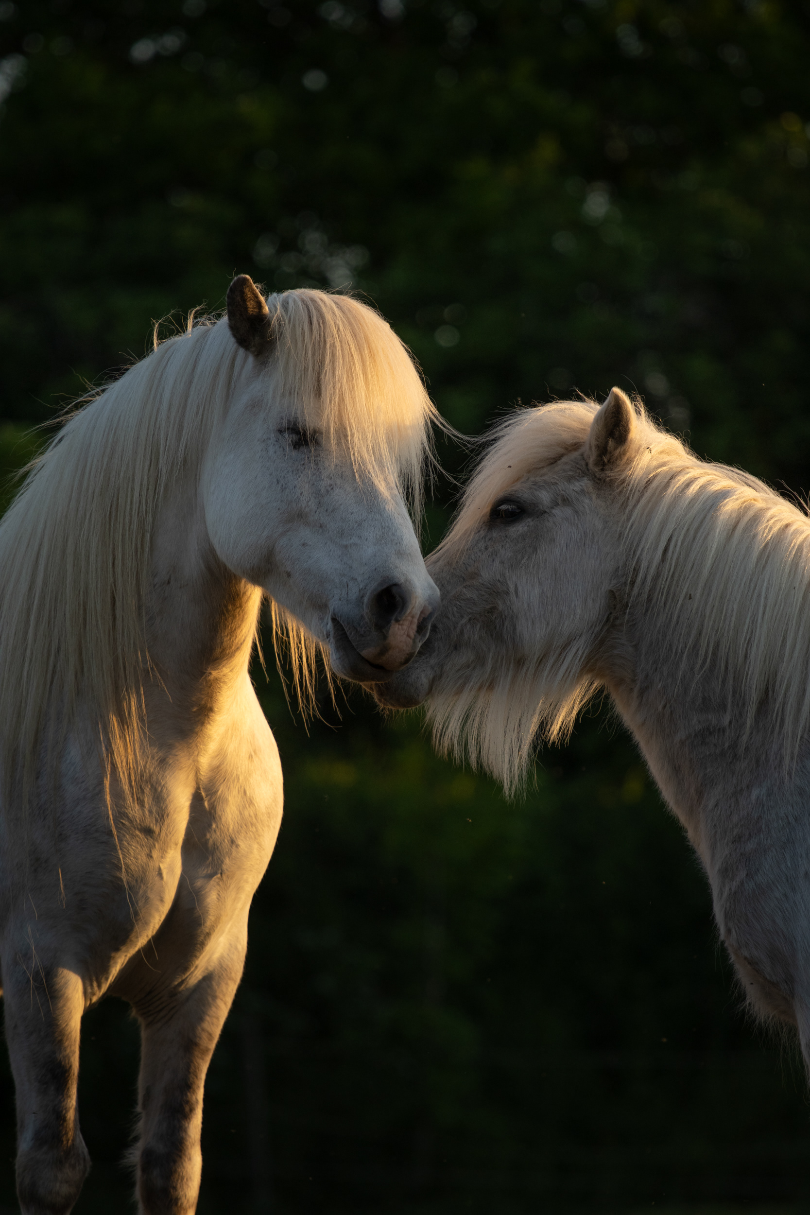 Gaddur & Casper, 240525