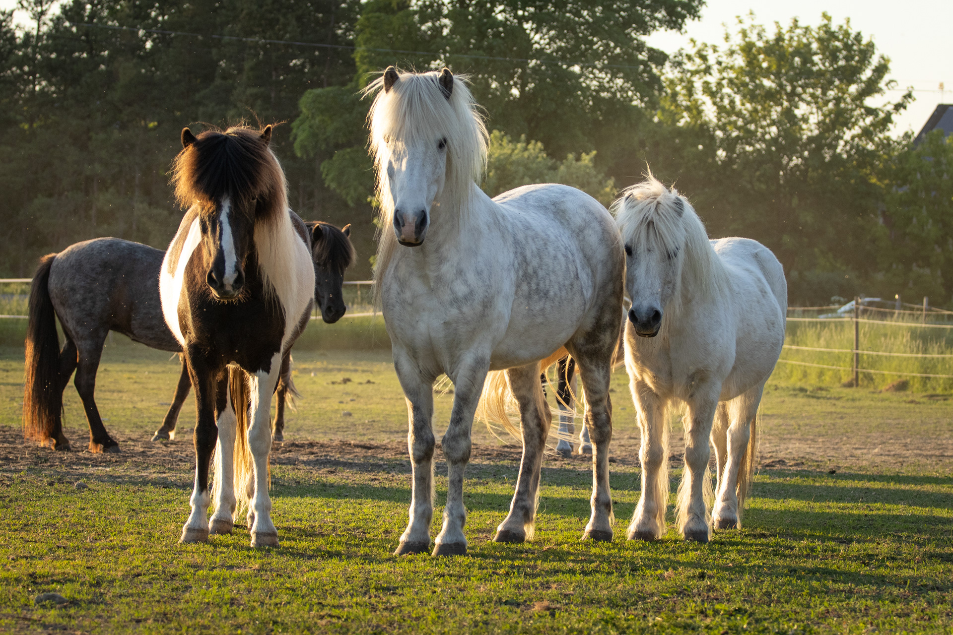 Salka, Gaddur & Casper, 240525