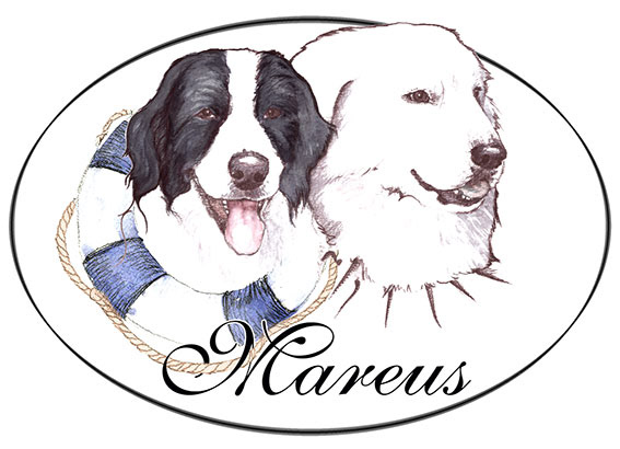 Kennel Mareus