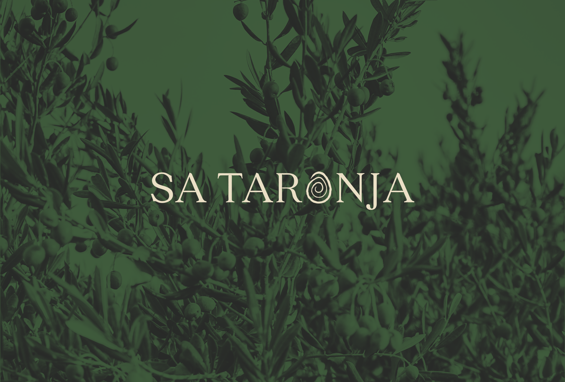 Logo of Sa Taronja Mallorca in Sand color over the green olives on the background