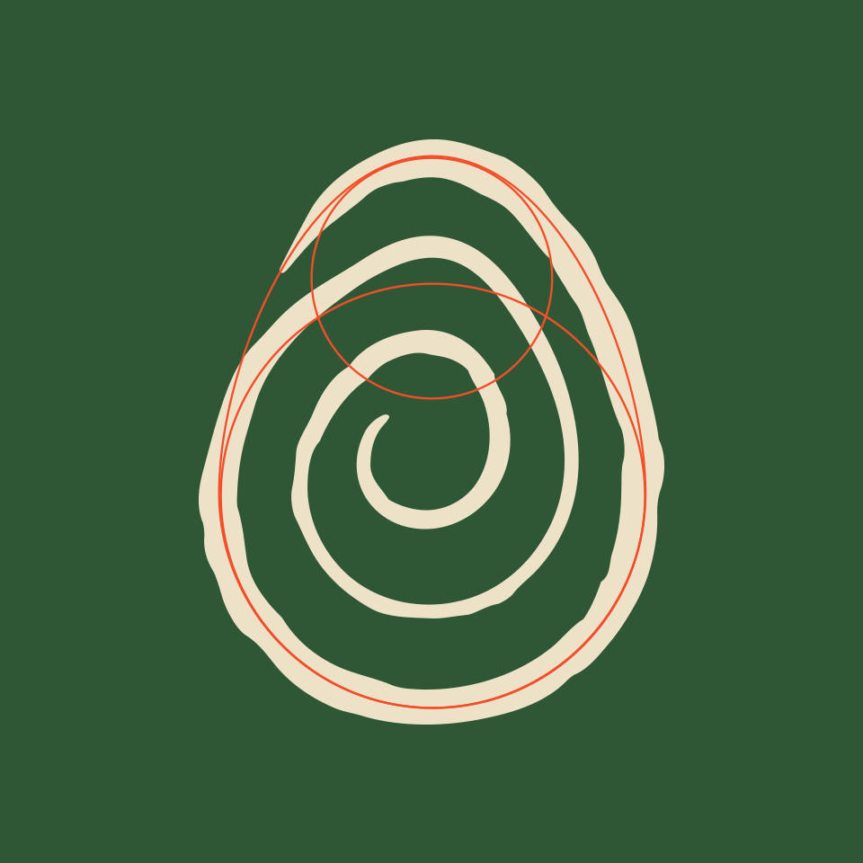 Geometry and construction of a hand-drawn egg in the logo of Sa Taronja