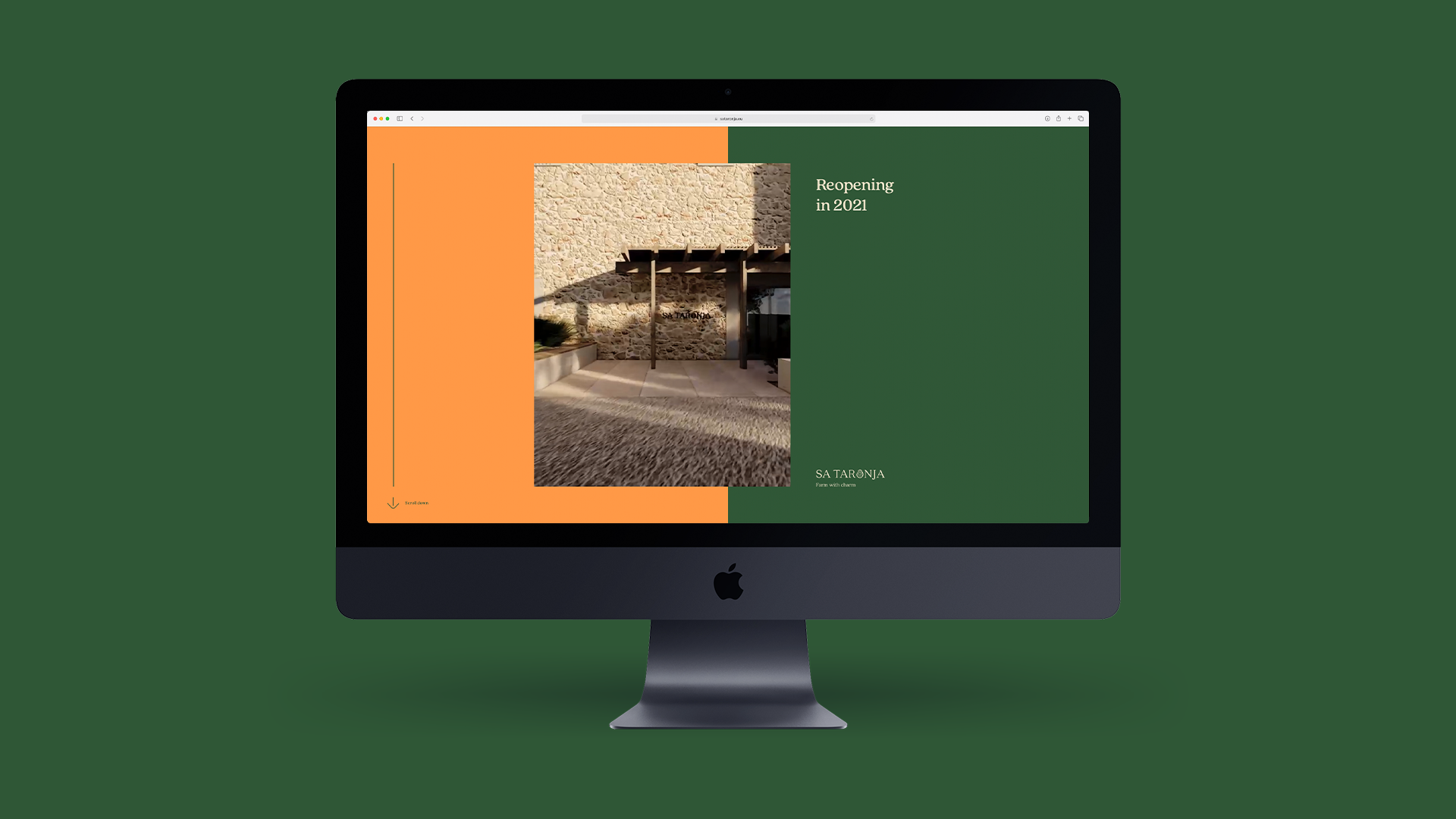 Homepage of a Sa Taronja website