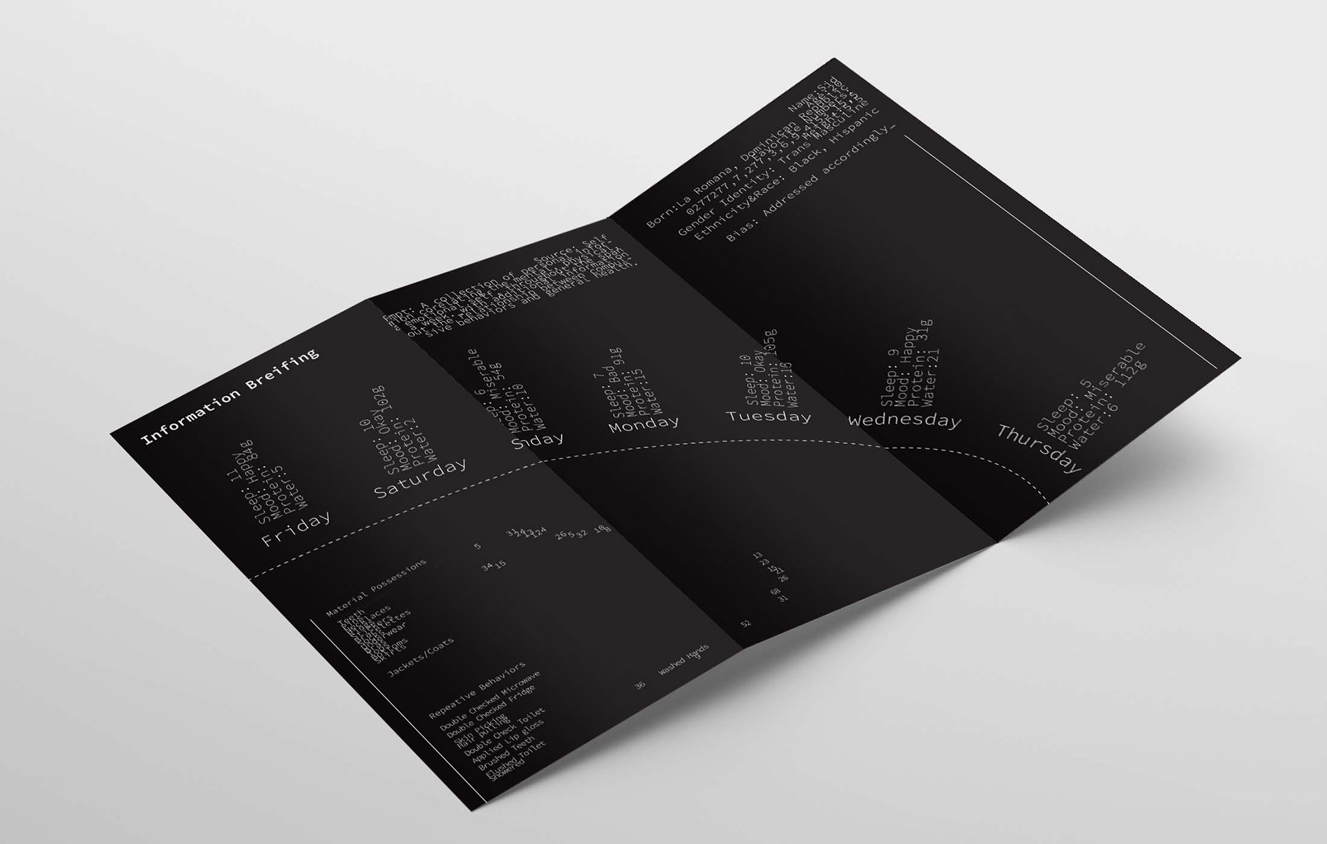 Back Spread Mockup