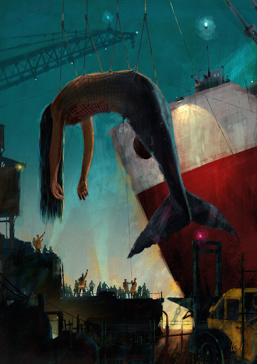 "The Catch"