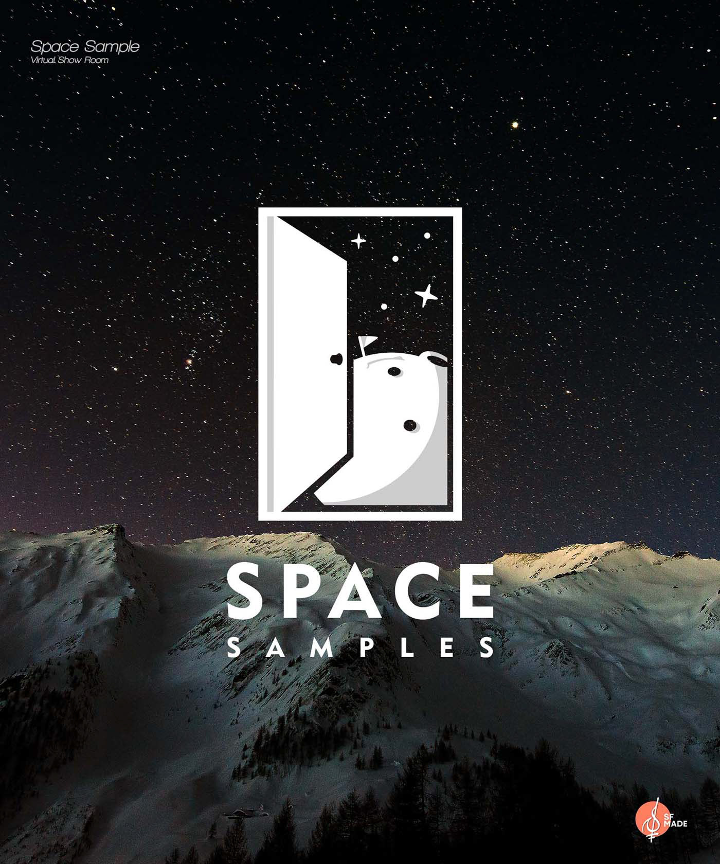 Space Sample Logo Design