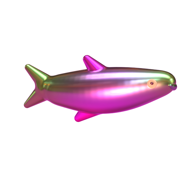 womp model