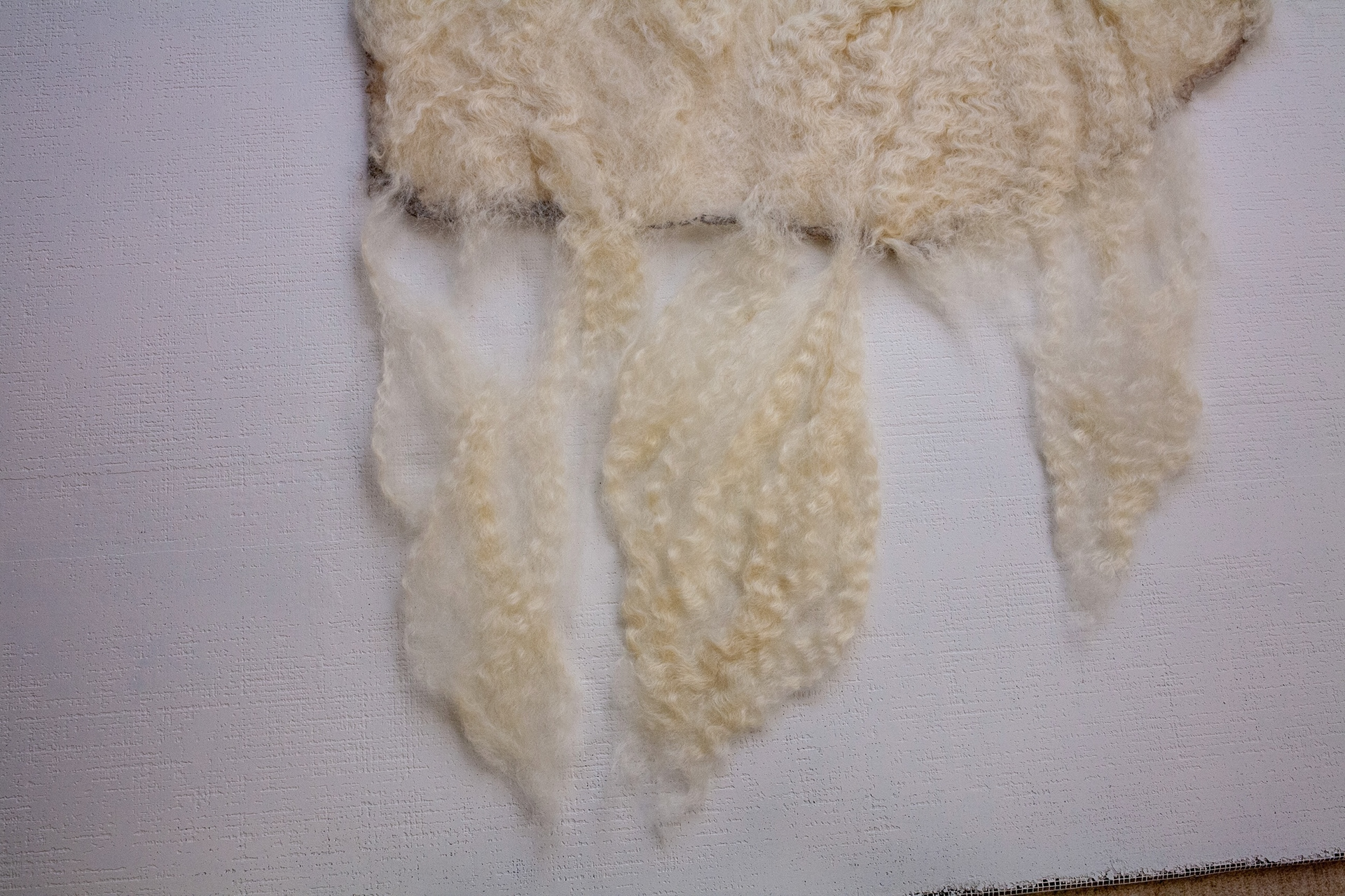 Close-up of lower fringe on White Buffalo Calf showing curly Teeswater locks and airy, translucent felt