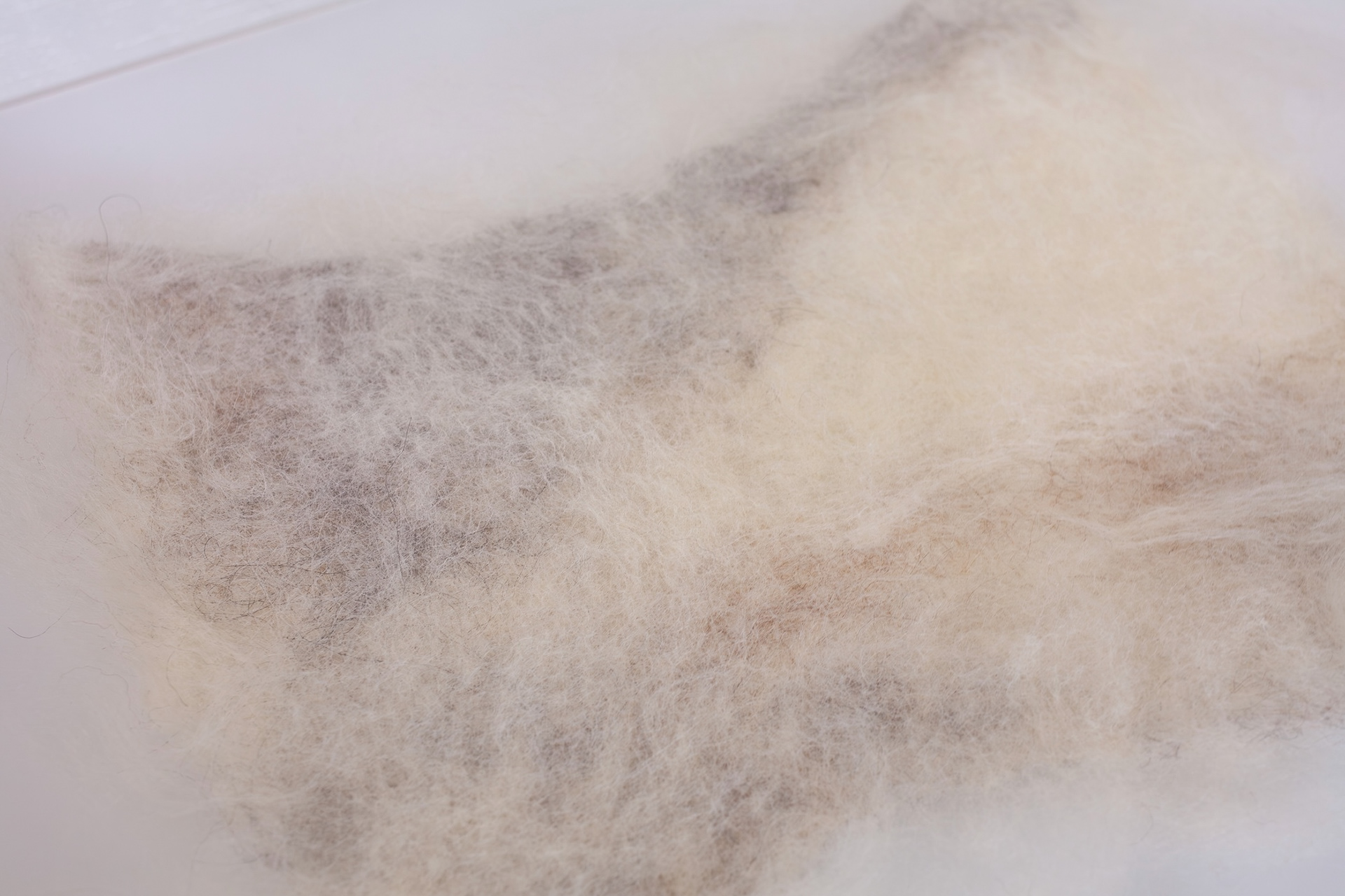Close-up of wispy felted wool fibers blending soft gray into warm cream, creating a hazy, cloudlike surface against the milky acrylic.