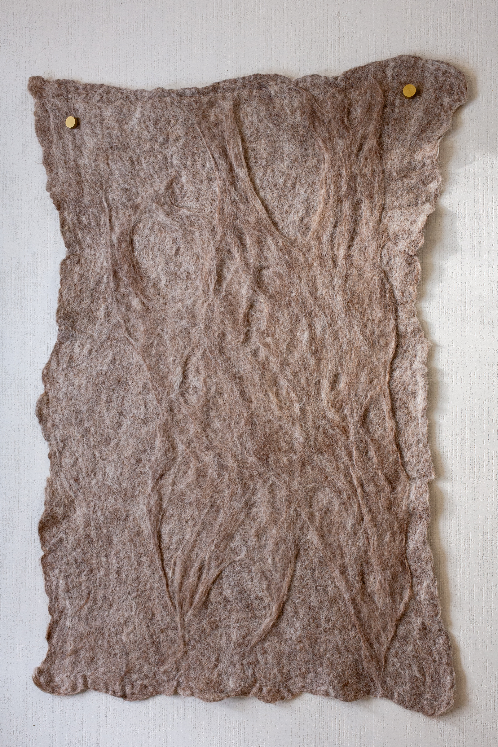Full piece on white wall with two brass standoffs; warm gray-brown felt shows soft, layered ridges and organic, scalloped edges.