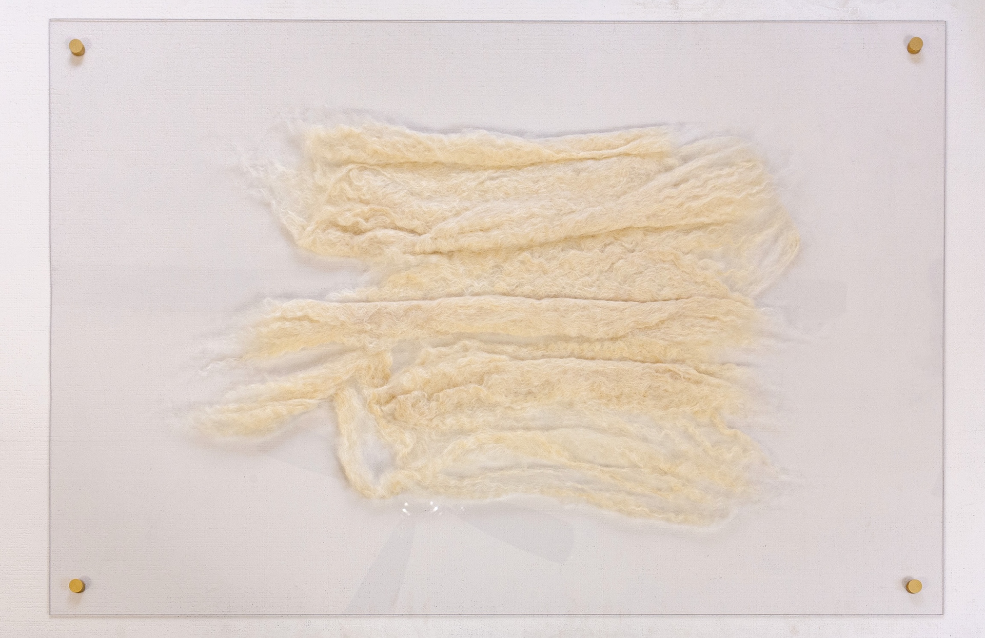 he Unfolding — cream Teeswater wool bands wet-felted and needle-sculpted, mounted on clear polycarbonate with matte gold standoffs.