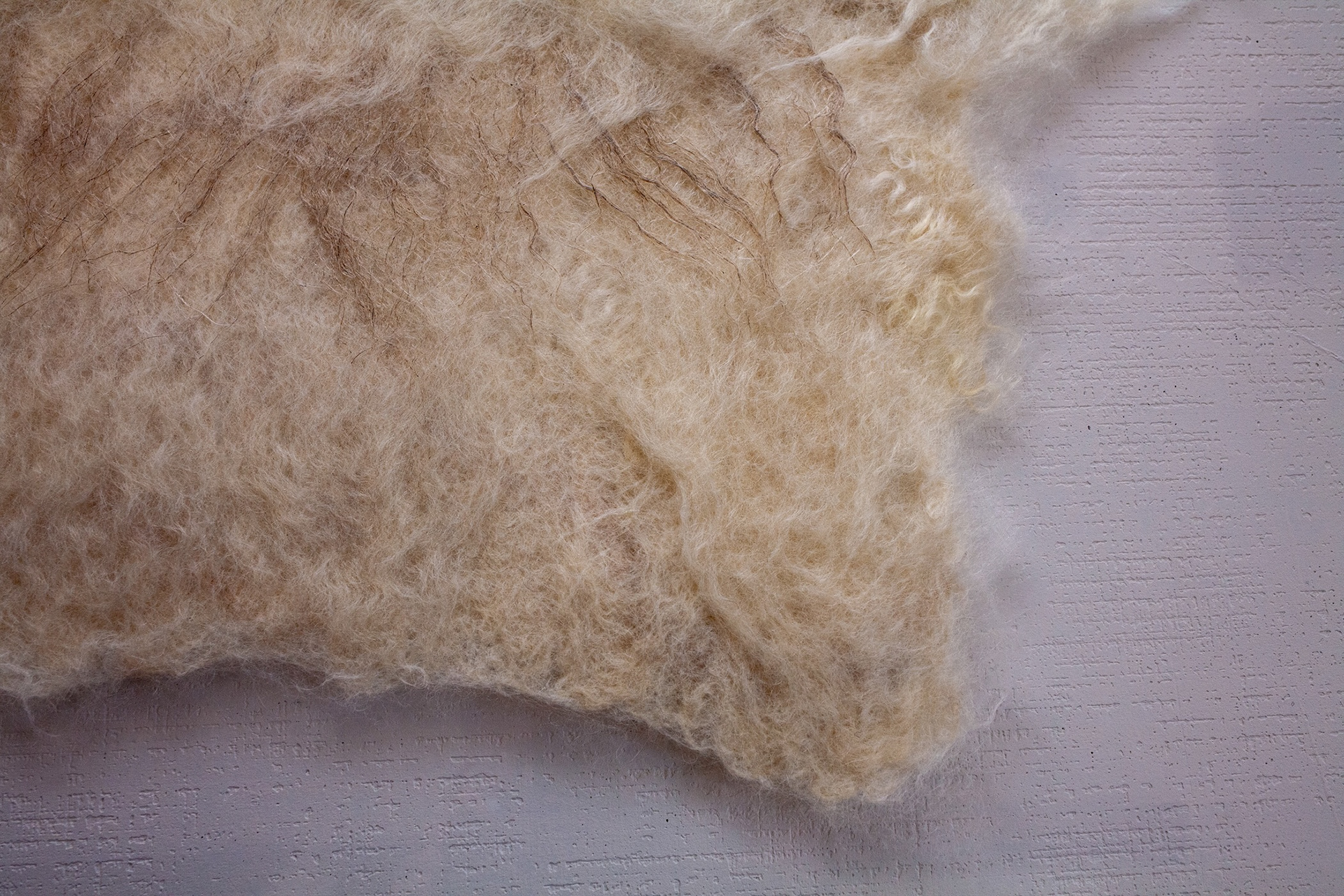 Close-up of the felt surface showing airy cream Teeswater fibers with faint needle-sculpted lines and darker flax strands, fading into a soft edge on a white textured background.