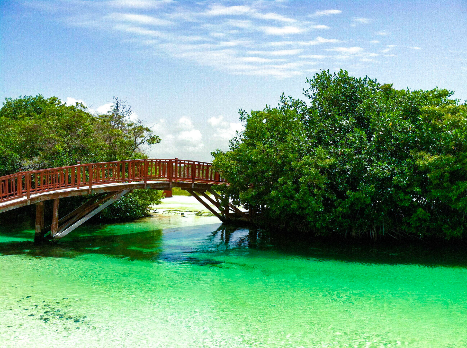 Bridge by the Sea