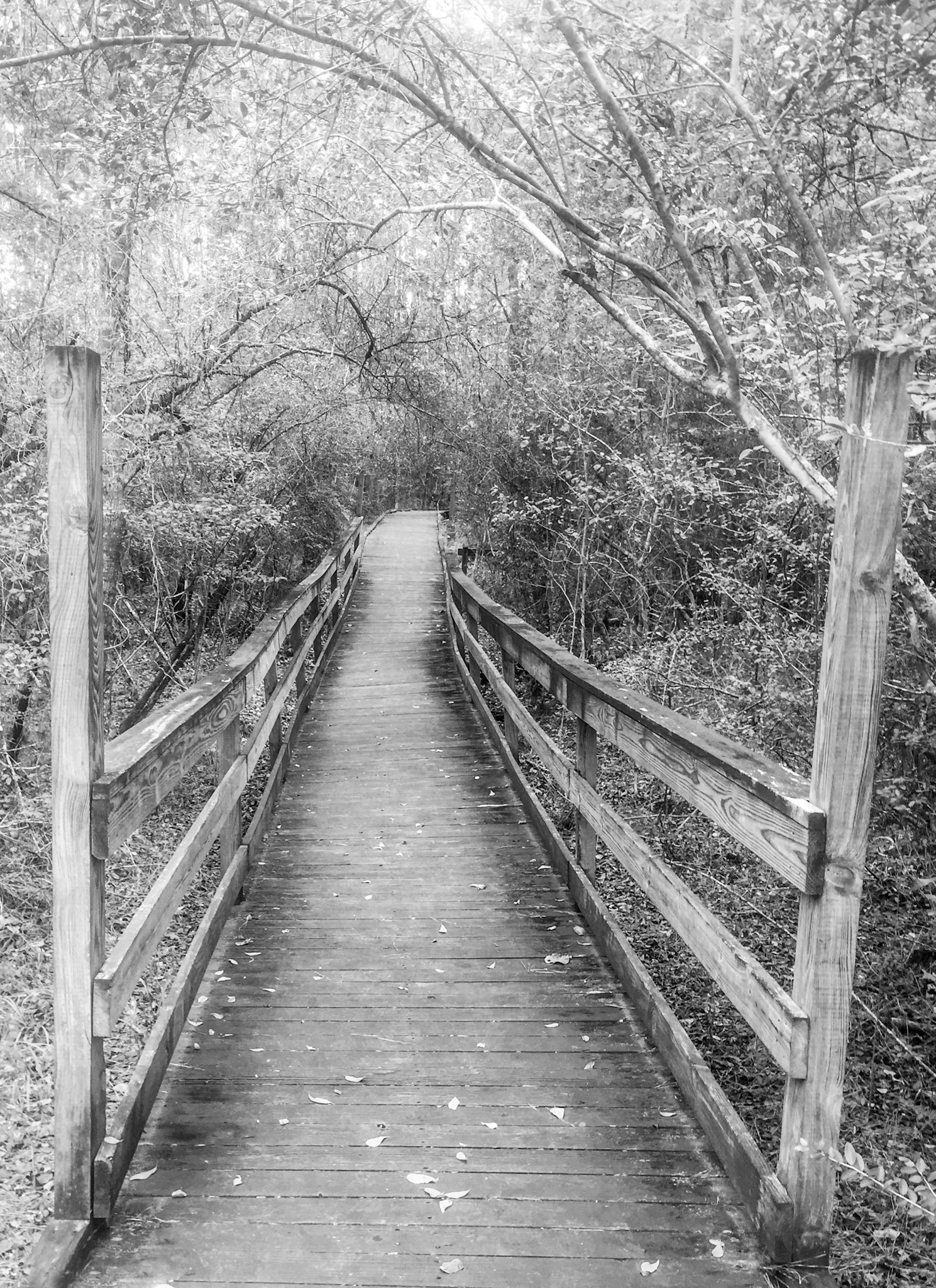 Borders Exhibit in  Vienna