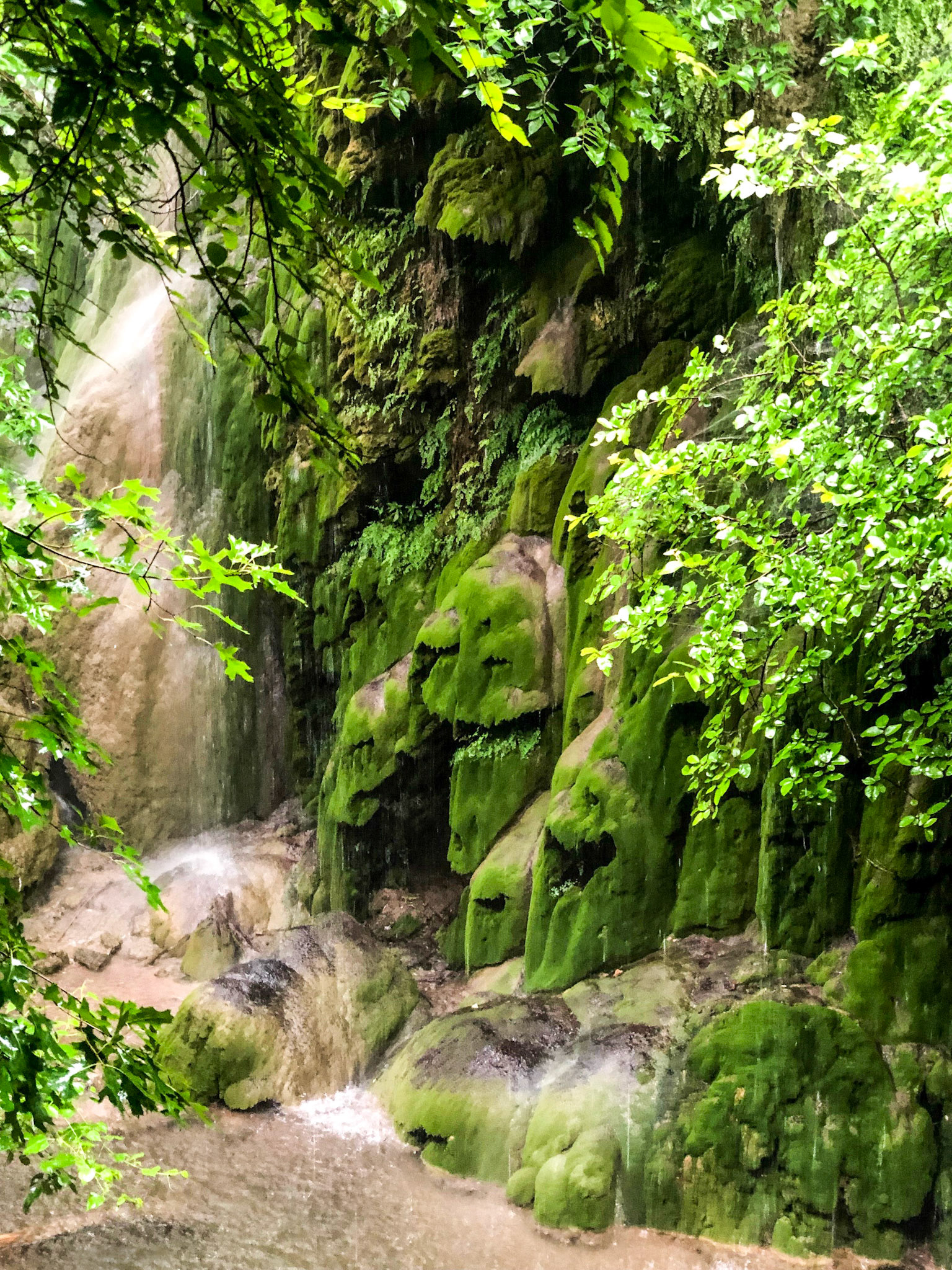 Gorman Falls