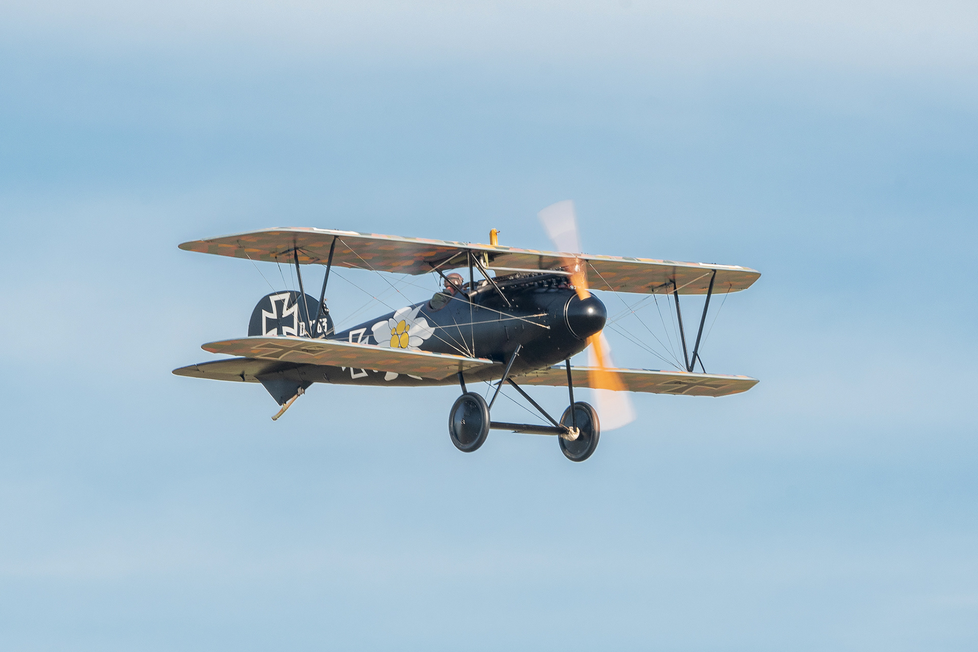 Albatross DVa - Duxford