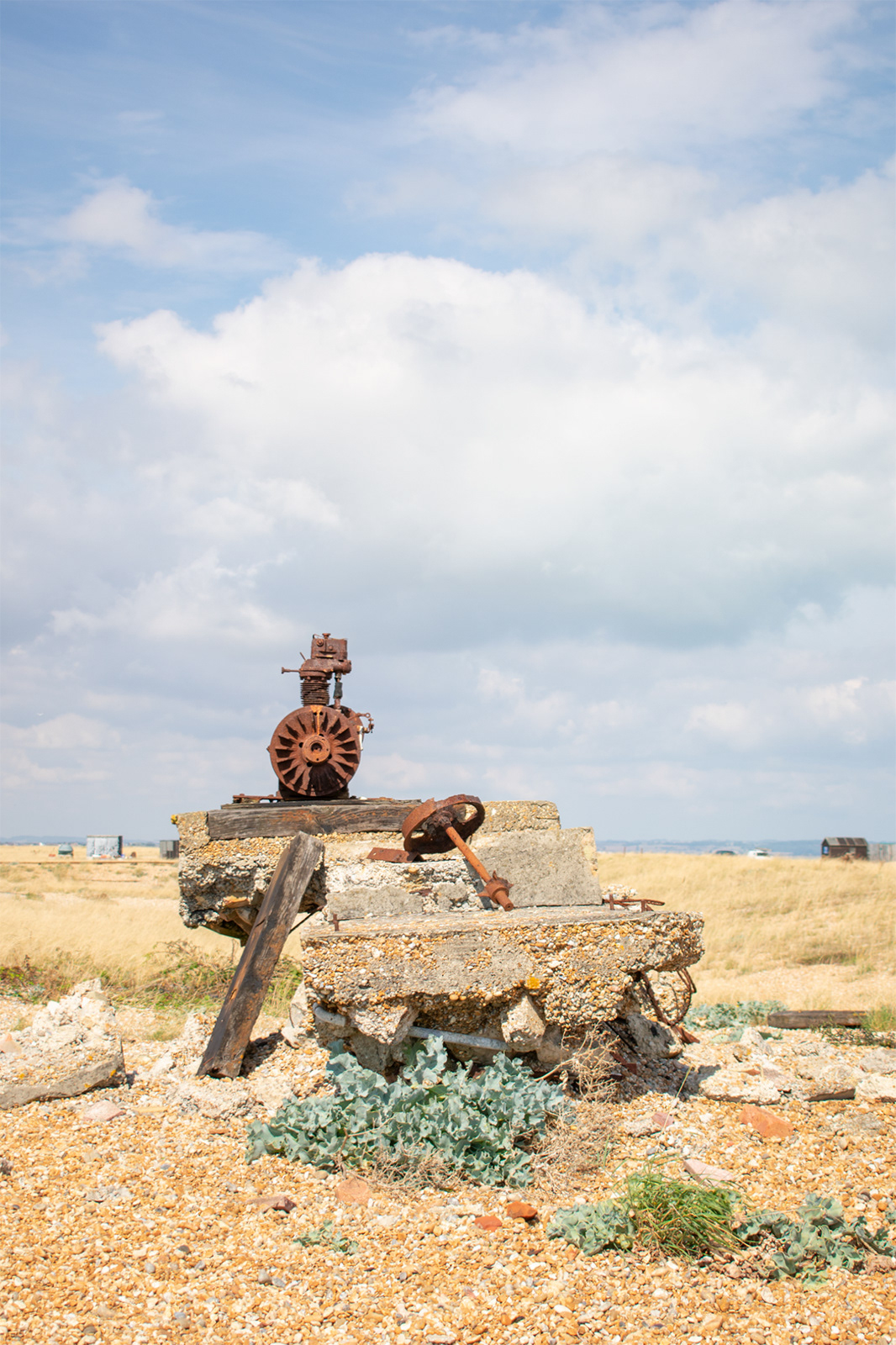 Dungeness