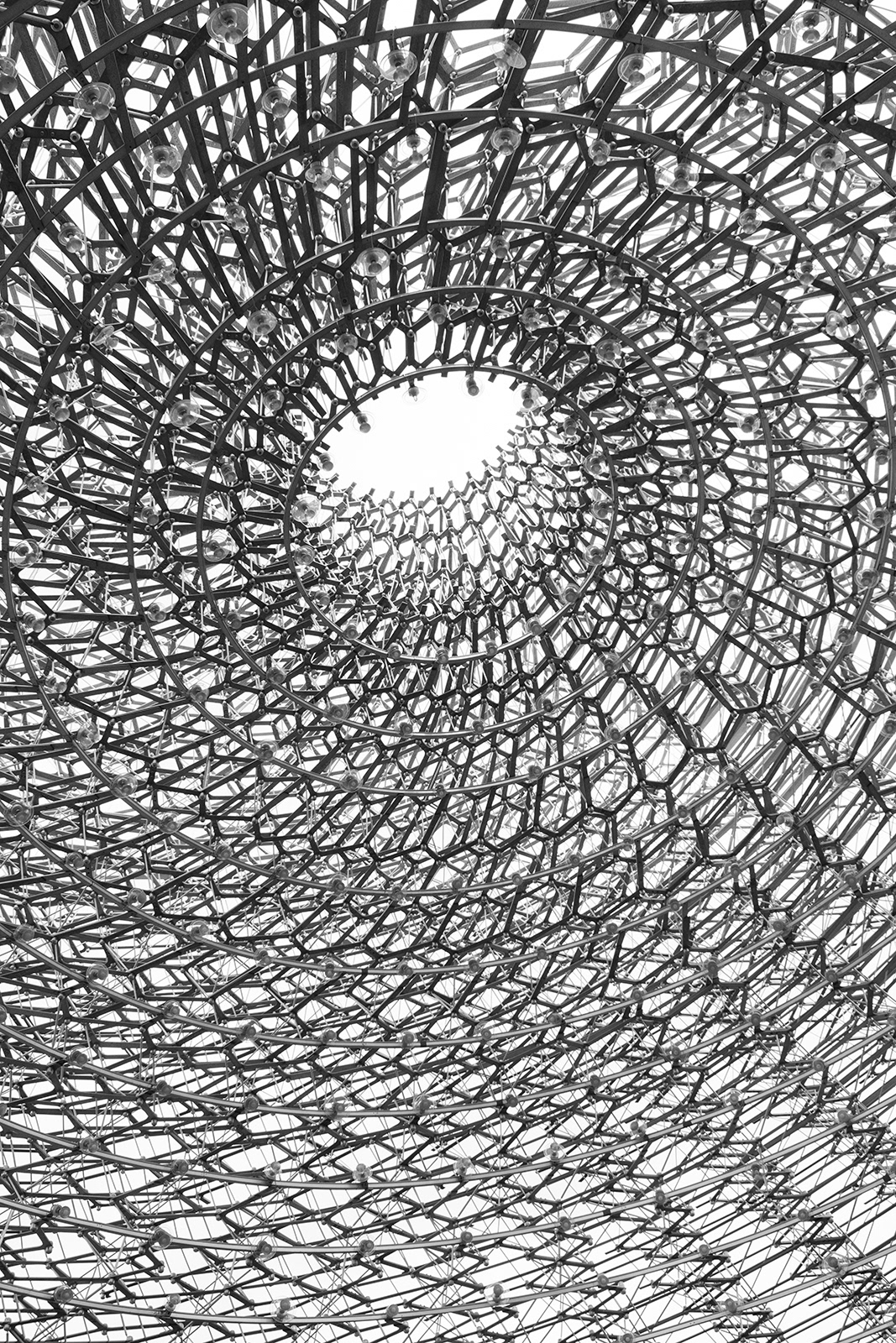 The Hive - Kew Gardens