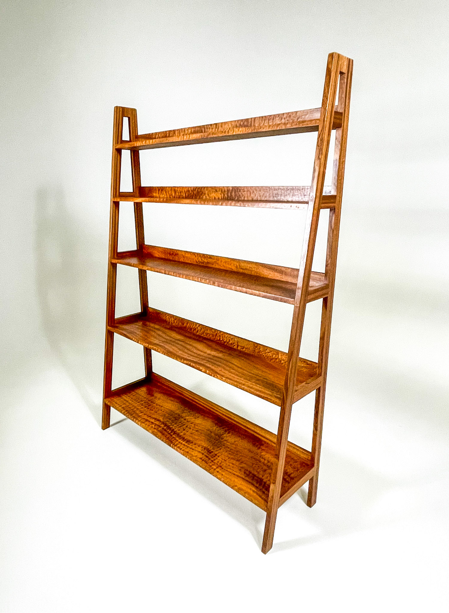 ladder bookshelf