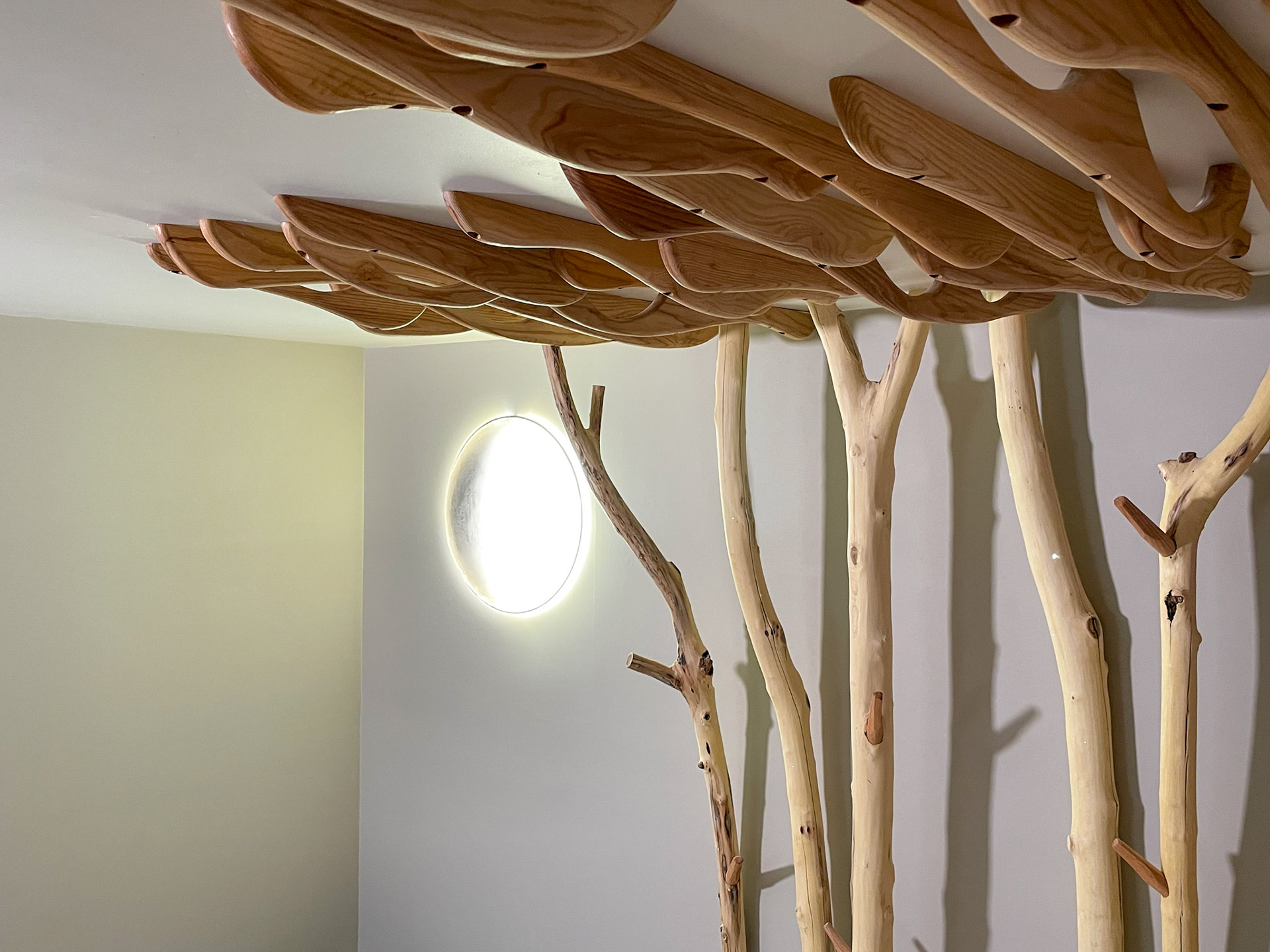 moonlight and climbing branches