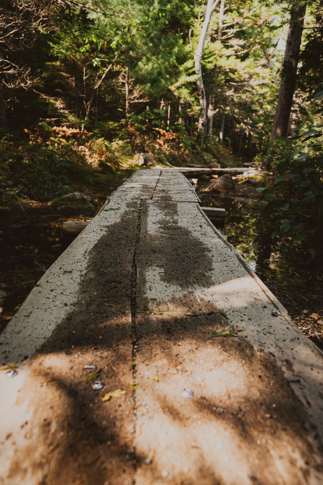 Boardwalk