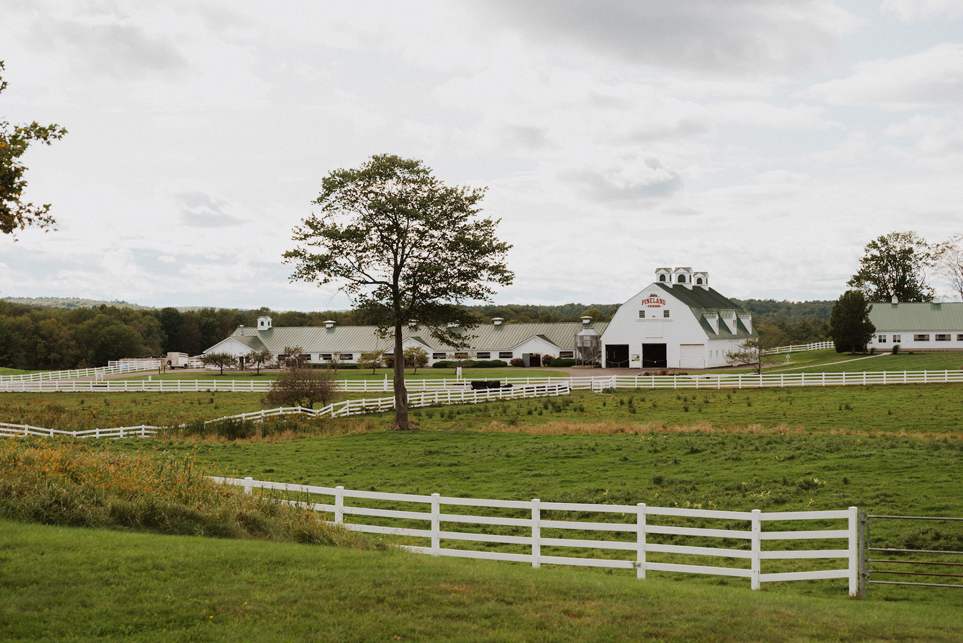 Pineland Farms