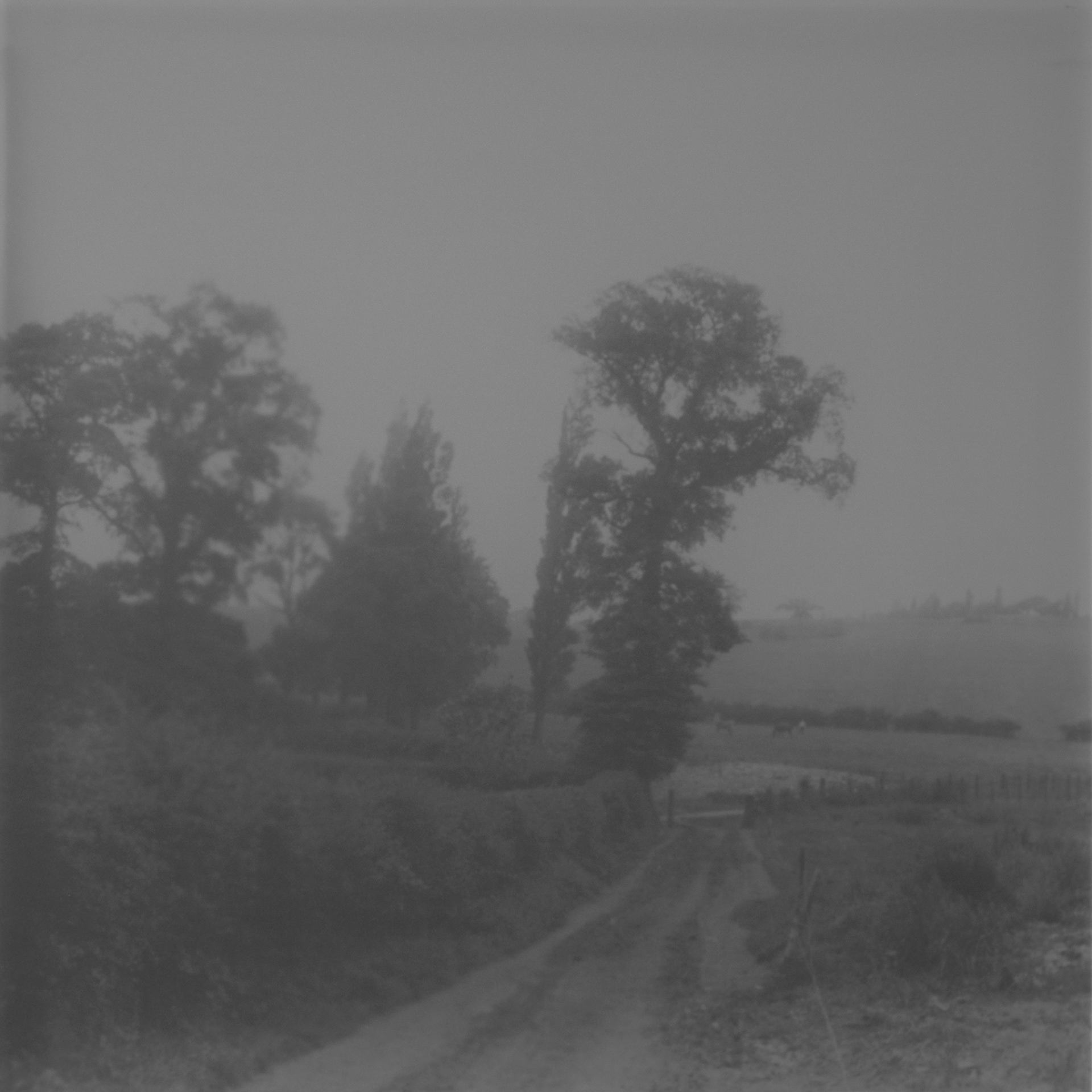 Long listed for Photoworks Photography+ Graduate Issue