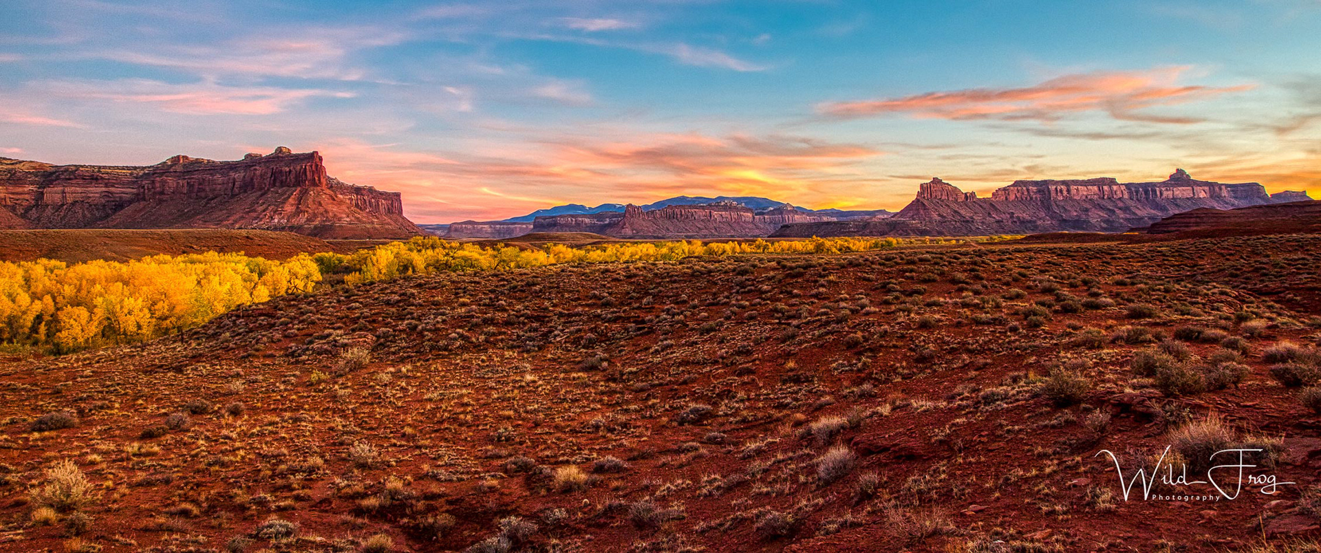 Canyonlands NP, fall colors at sunset