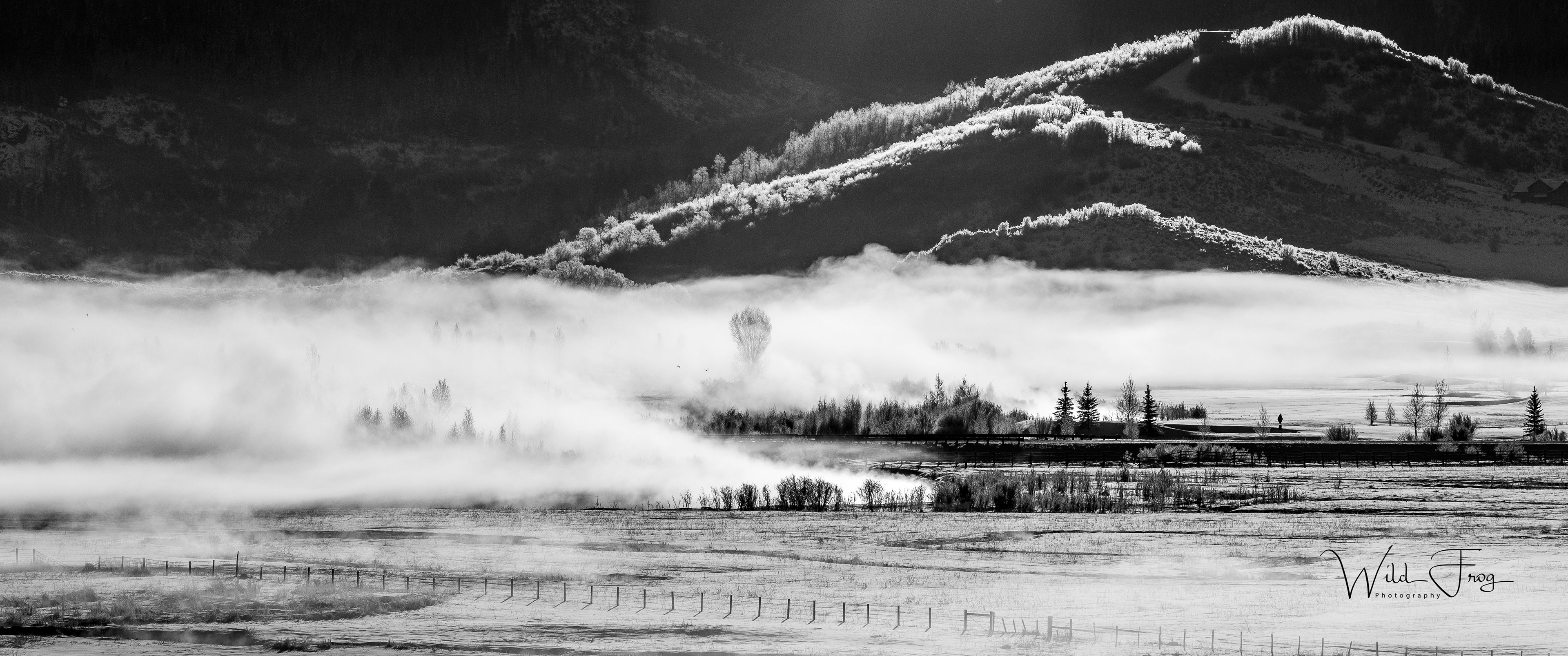 Yampa River, early Morning fog