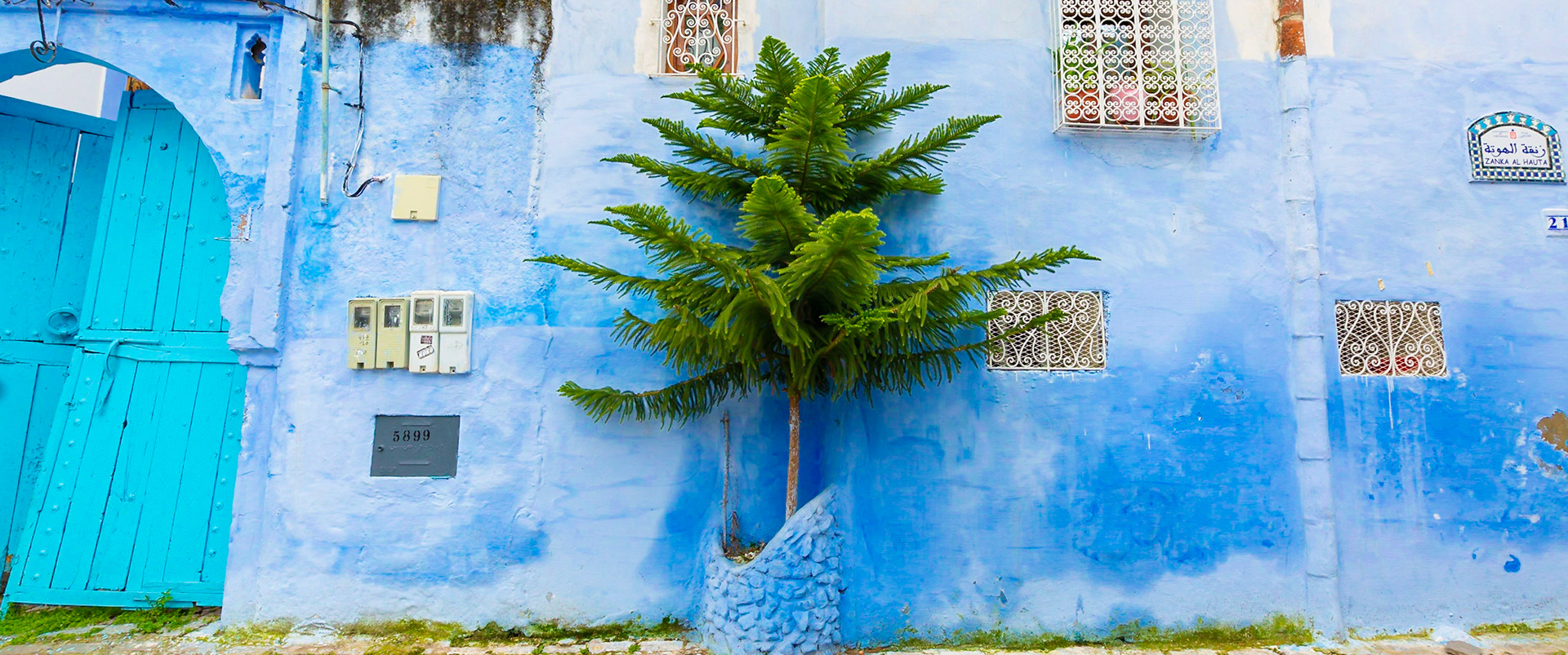 Contrast of green and blue