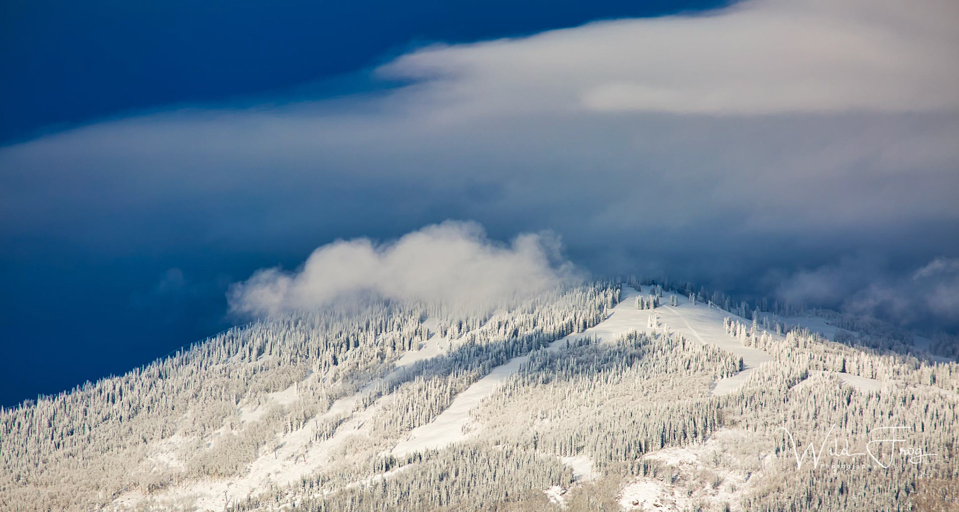 Ski Field, Steamboat Springs, CO