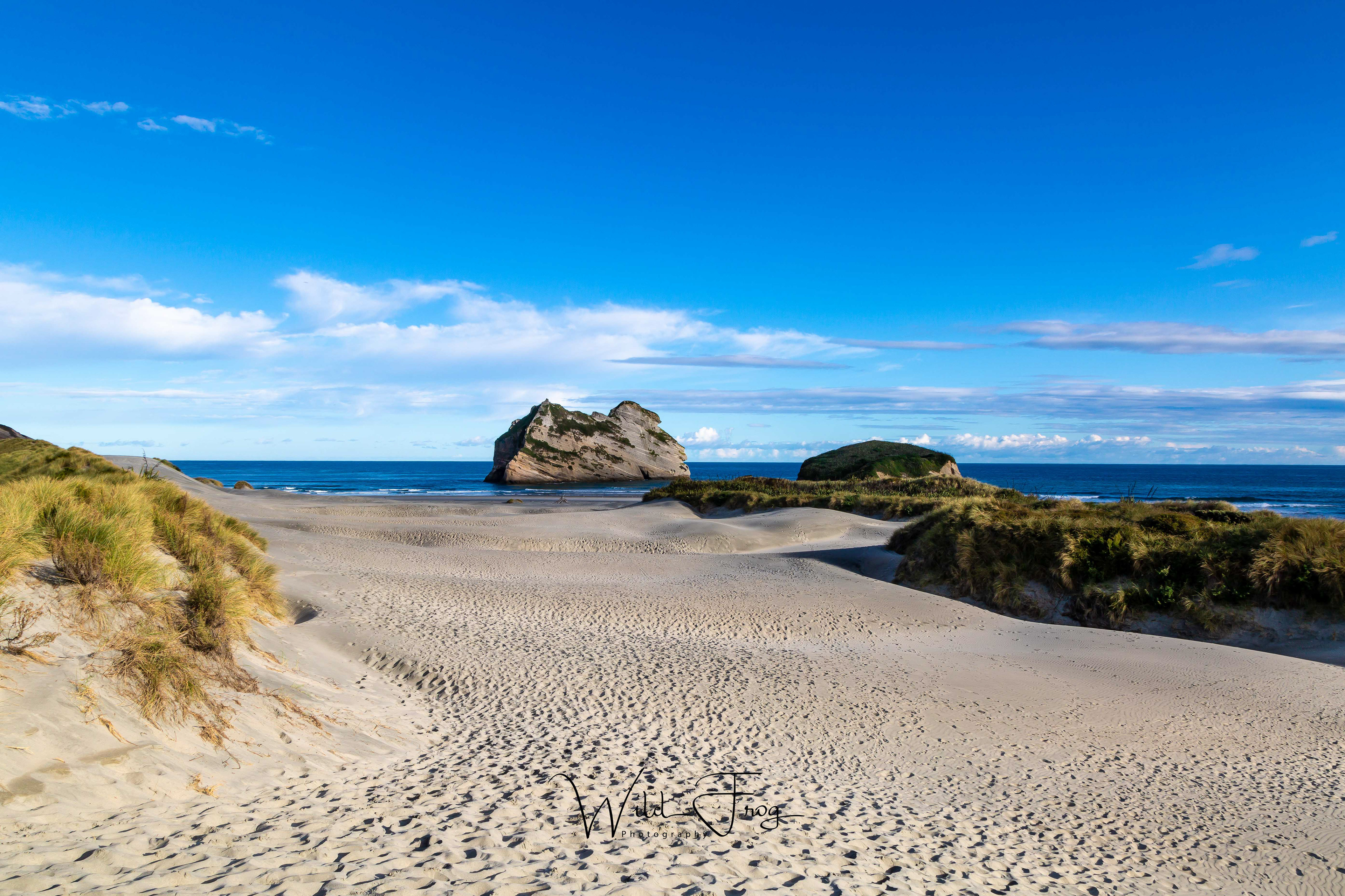 Sand dune - Wharariki Beach