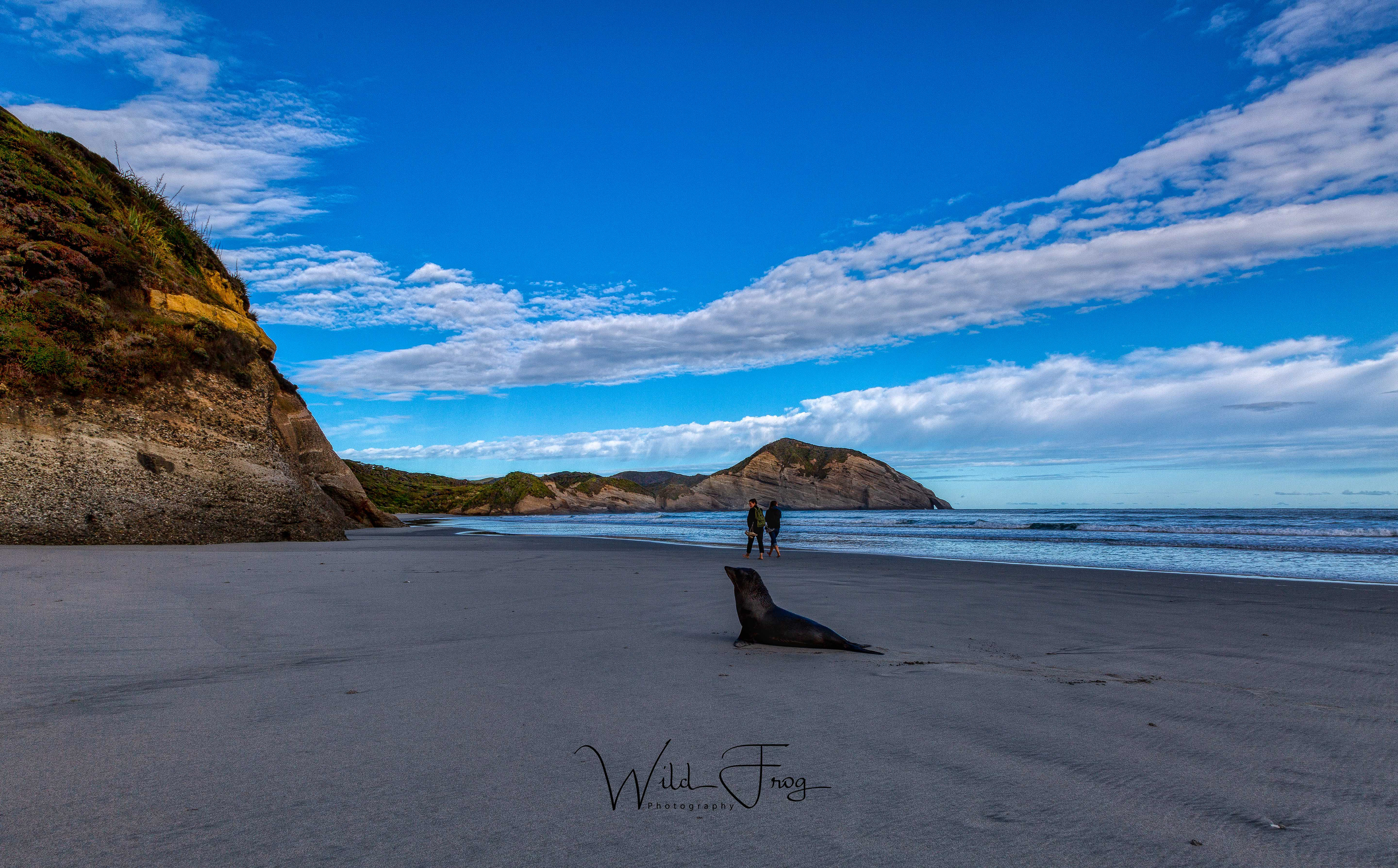 Wharariki Beach Puponga Golden Bay