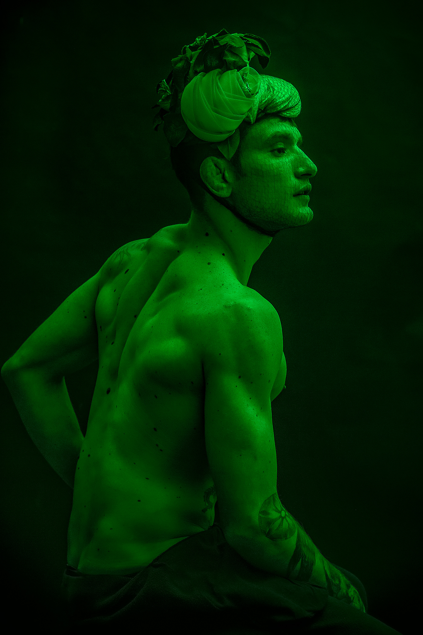 Icarius.com | Photographer: Debby Gram