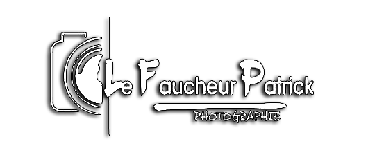 patrick le faucheur