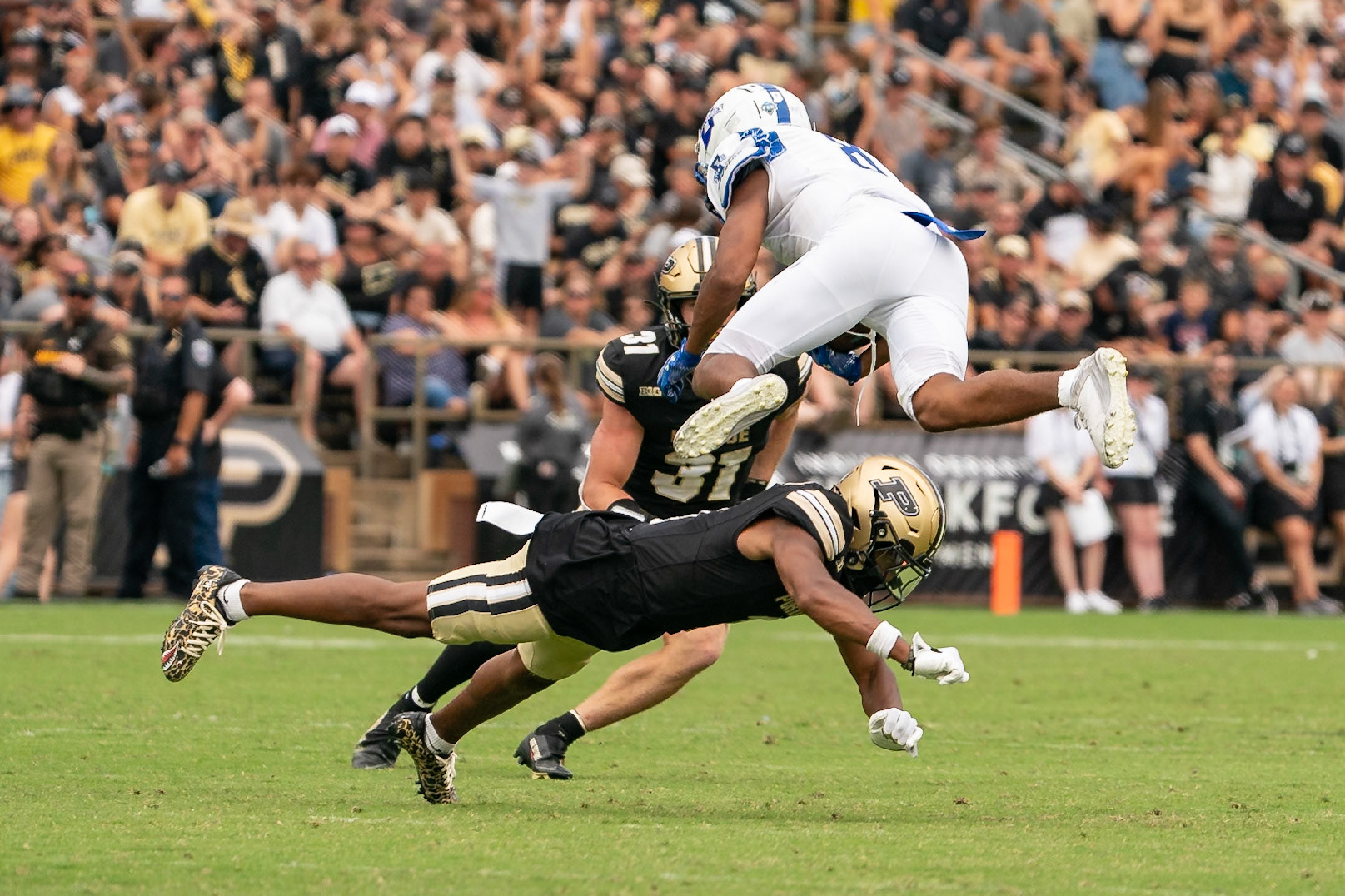 WEST LAFAYETTE, IN - AUGUST 31, 2024: Purdue So. RUSH END CJ Madden (8) undercuts Indiana State Jr. WR Rashad Rochelle (8) after Rashad makes a catch in the Purdue Boilermaker vs Indiana State Sycamores football game at Ross-Ade Stadium(Photo by Steve Bowen / Bowen Arrow Photography / Northern Indiana Sports Report)
