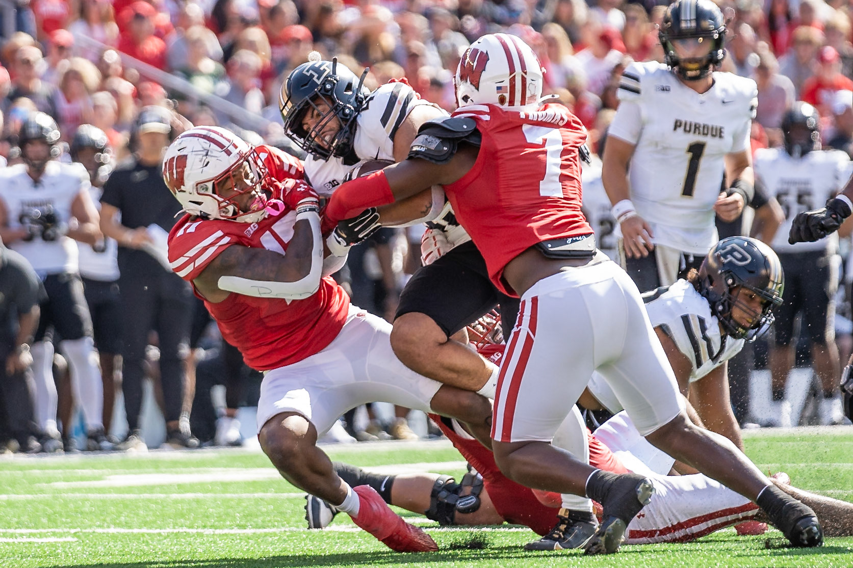 MADISON, WI - OCTOBER 5, 2024: Purdue University Junior Running Back Devin Mockobee (45) running towards the end zone while being tackled by University of Wisconsin Redshirt Senior LB Jaheim Thomas (7) and University of Wisconsin Freshman CB Omillio Agard (11) during the Purdue University Boilermakers at University of Wisconsin Badger Football game at Camp Randall Stadium(Photo by Steve Bowen / NISports Report)