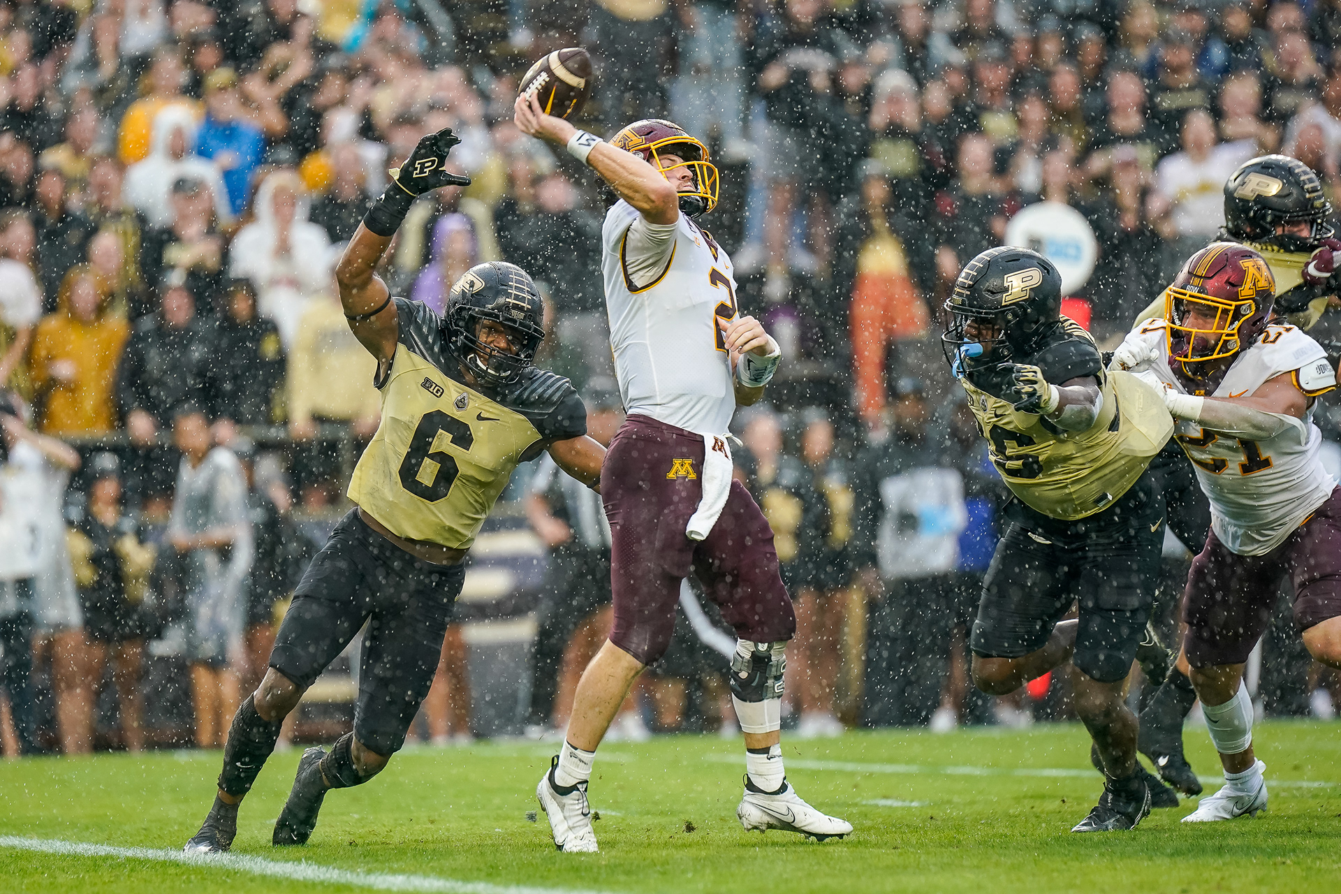 Jalen Graham (6) goes after the sack of Minnesota's Tanner Morgan (2)