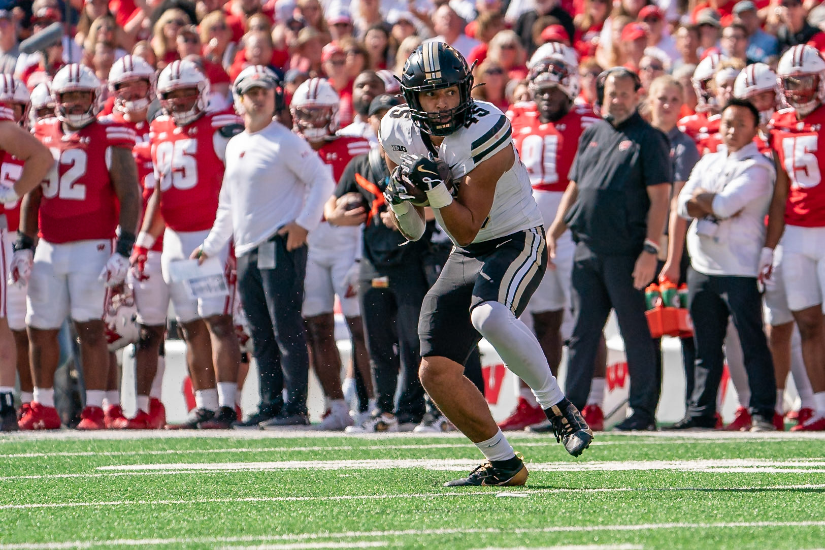 MADISON, WI - OCTOBER 5, 2024: Purdue University Junior Running Back Devin Mockobee (45) catching a pass during the Purdue University Boilermakers at University of Wisconsin Badger Football game at Camp Randall Stadium(Photo by Steve Bowen / NISports Report)