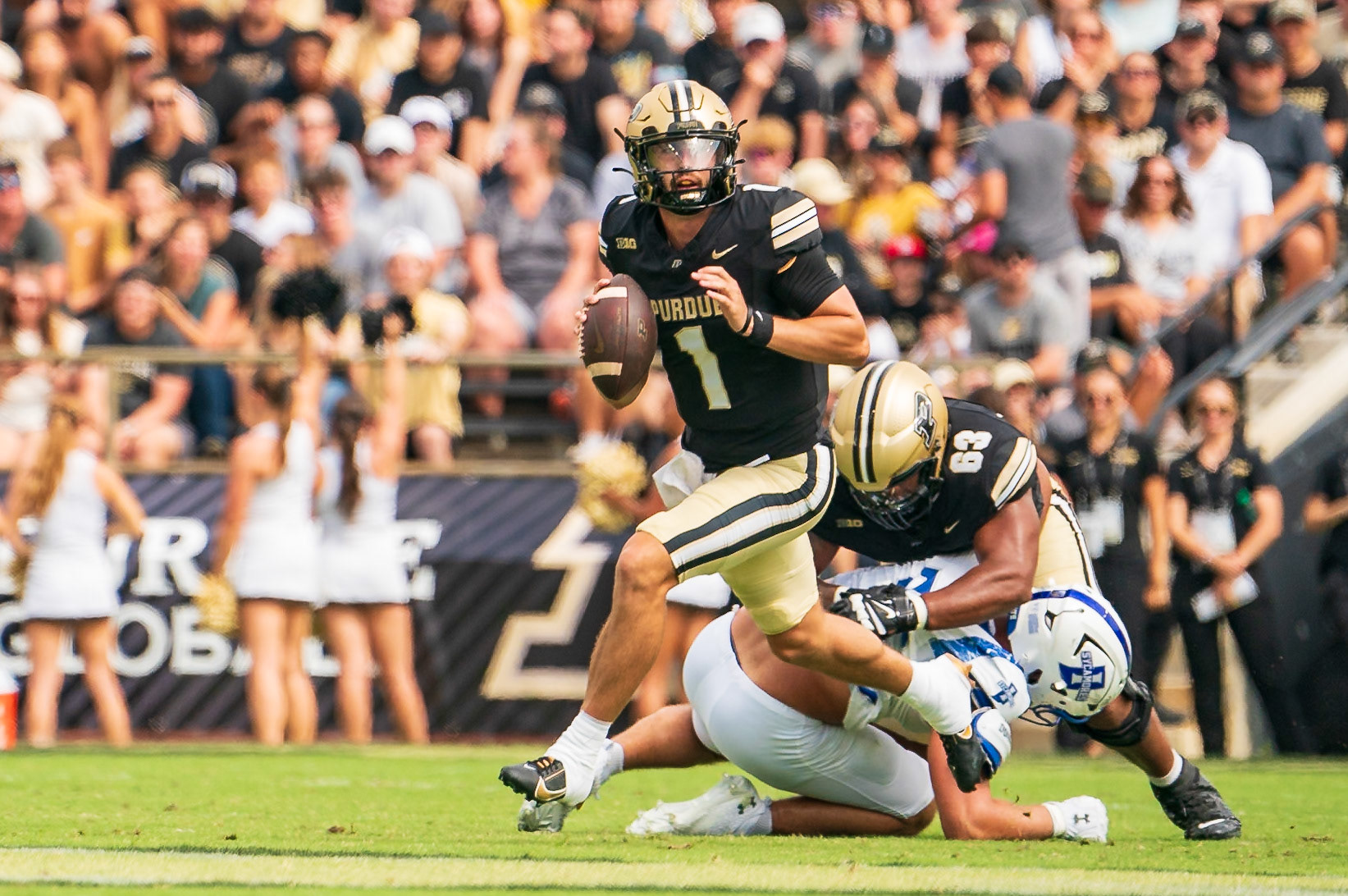 WEST LAFAYETTE, IN - AUGUST 31, 2024: Purdue Sr. QB Hudson Card (1) in Purdue Boilermaker Football vs Indiana State Sycamores at Ross-Ade Stadium(Photo by Steve Bowen / Bowen Arrow Photography / Northern Indiana Sports Report)