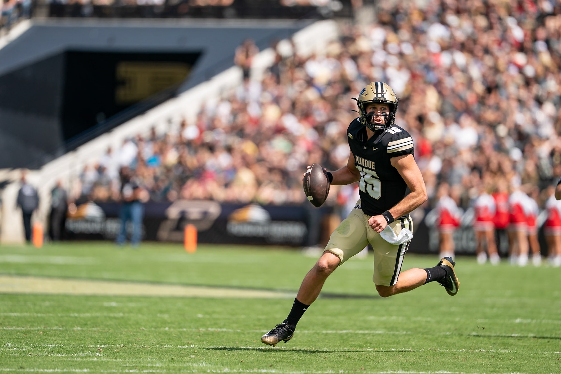 WEST LAFAYETTE, IN - AUGUST 30, 2025: Purdue University Sophomore Quaterback Ryan Browne (15) rolling out at Purdue Boilermaker Football vs Ball State Football at Ross-Ade Stadium(Photo by Steve Bowen / Northern Indiana Sports Report)