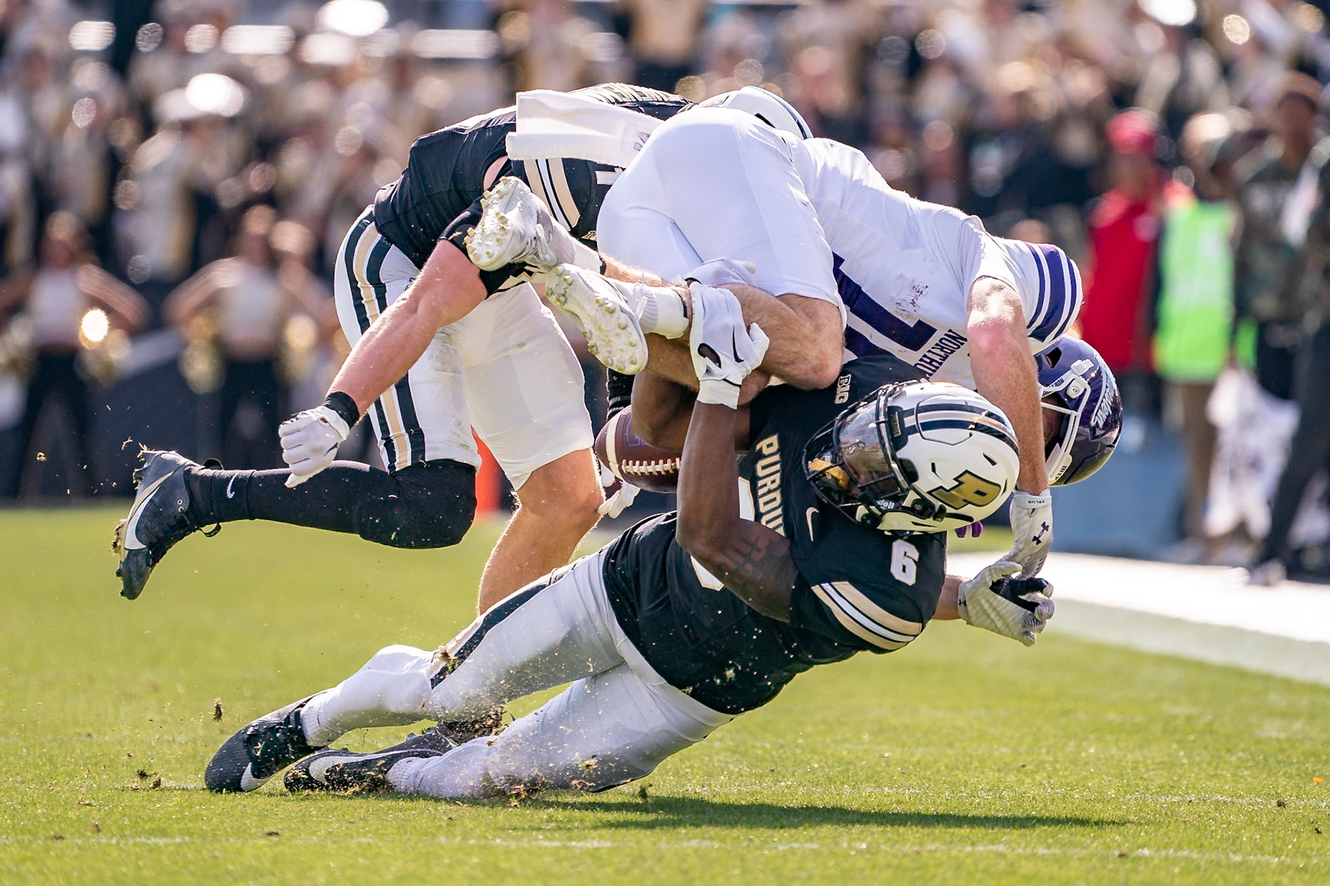 WEST LAFAYETTE, IN - NOVEMBER 2, 2024: Northwestern University Wide Receiver Frank Covey IV (16) fumbles the fall after a hard hit by Purdue University Freshman Defensive Back Smiley Bradford (6) and Purdue University Sophomore Defensive Back Dillon Thieneman (31) during the Purdue University Boilermakers vs Northwestern University Wildcats Football game at Ross-Ade Stadium(Photo by Steve Bowen / Bowen Arrow Photography / Northern Indiana Sports Report)