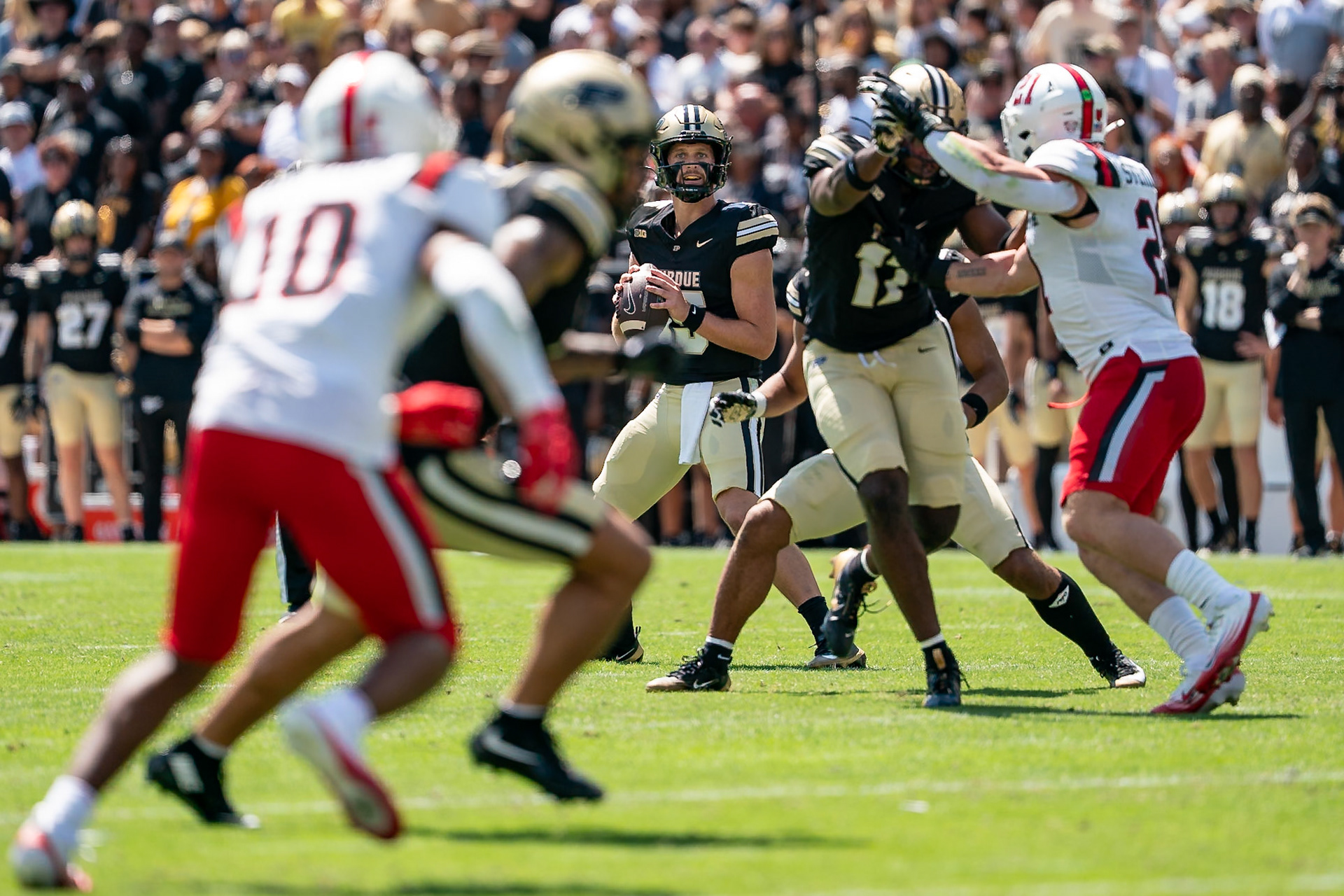 WEST LAFAYETTE, IN - AUGUST 30, 2025: Purdue University Sophomore Quaterback Ryan Browne (15) looking down the field at Purdue Boilermaker Football vs Ball State Football at Ross-Ade Stadium(Photo by Steve Bowen / Northern Indiana Sports Report)