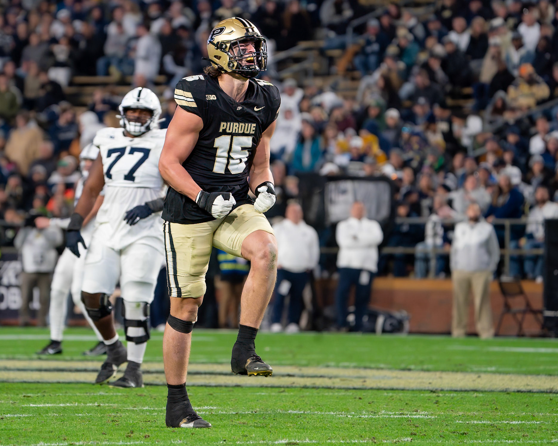 WEST LAFAYETTE, IN - NOVEMBER 16, 2024: Purdue University Sophomore Rush End Will Heldt (15) celebrating a big hit during the Purdue University Boilermakers vs Penn State University Nittany Lions Football game at Ross-Ade Stadium(Photo by Steve Bowen / Bowen Arrow Photography / Northern Indiana Sports Report)